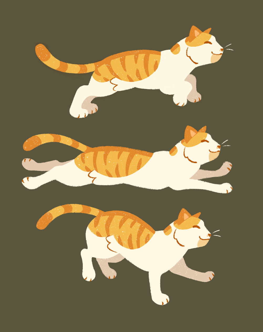 IMG_1415.png