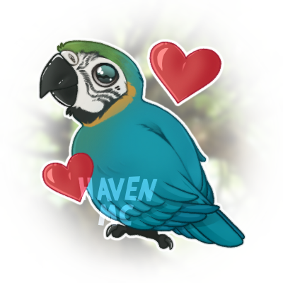 IMG_1428.png