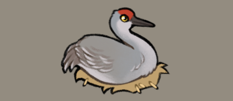 IMG_1438.png