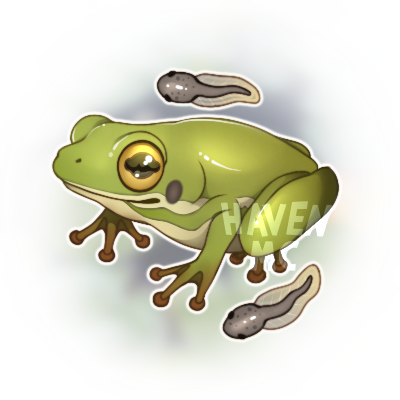 IMG_1427.png