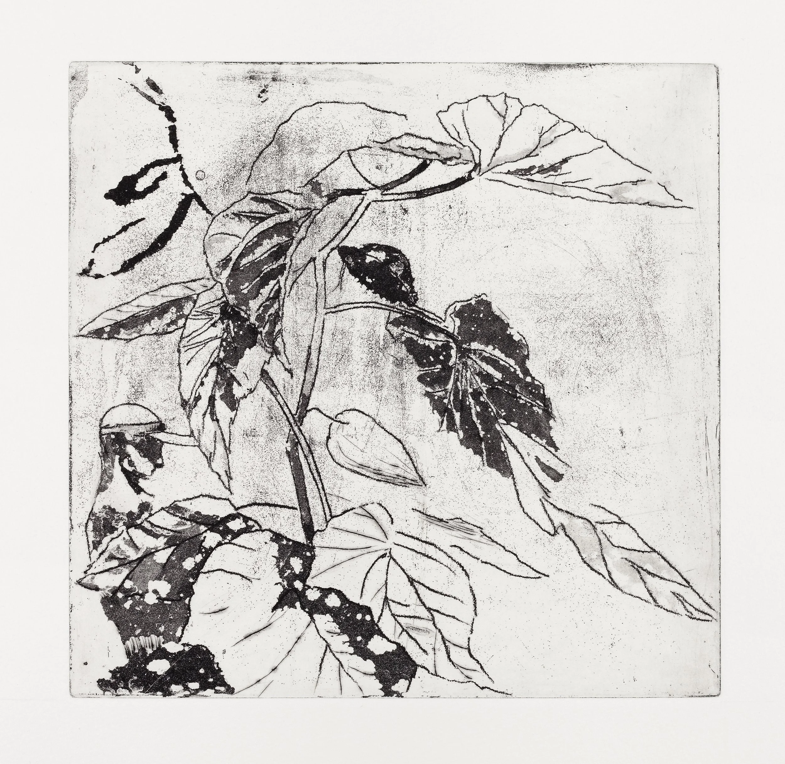 Fra balkongen II_Xyz - etching, 2019, 19x19cm.jpg