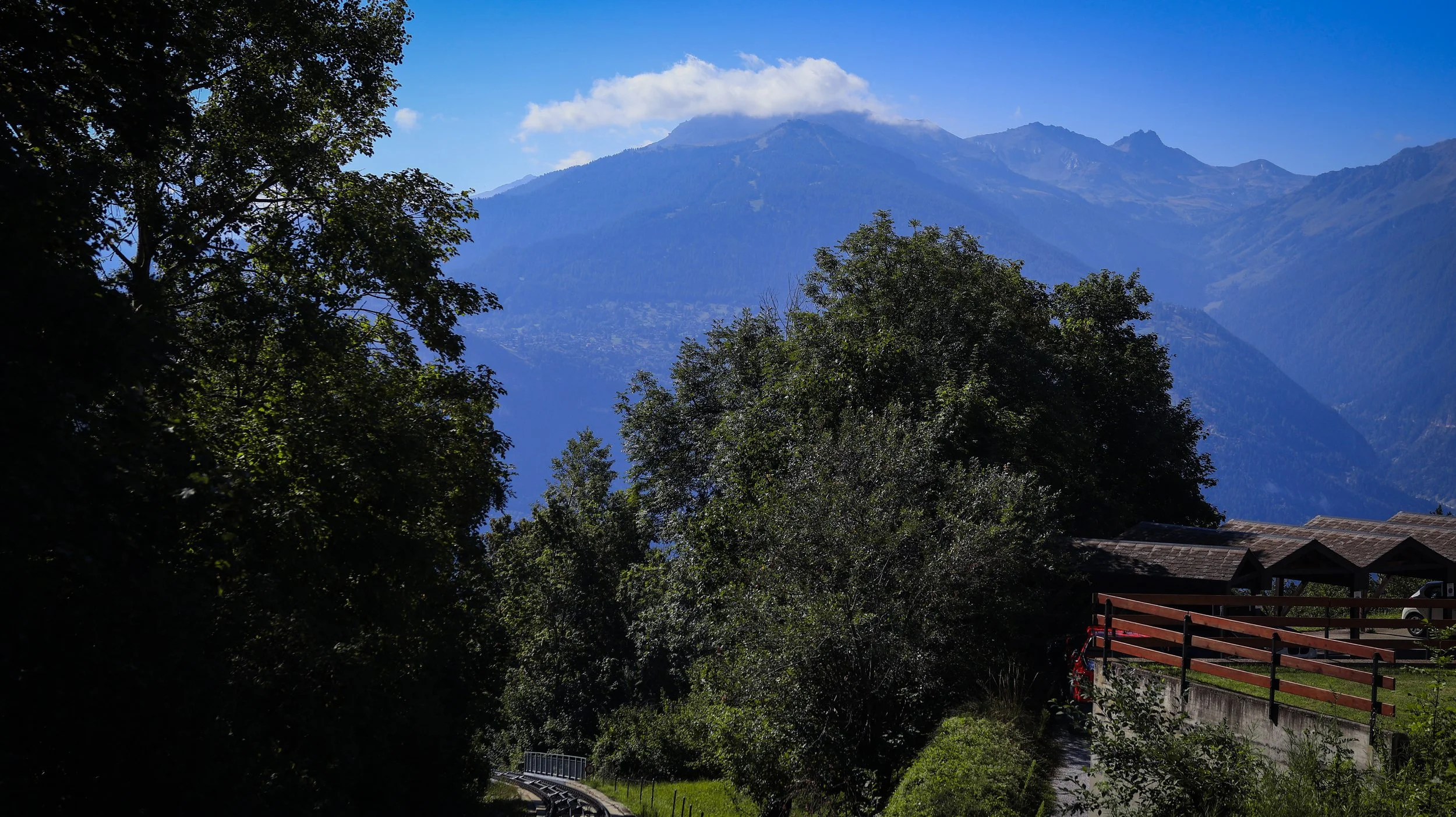 IMG_9514.JPG.jpg