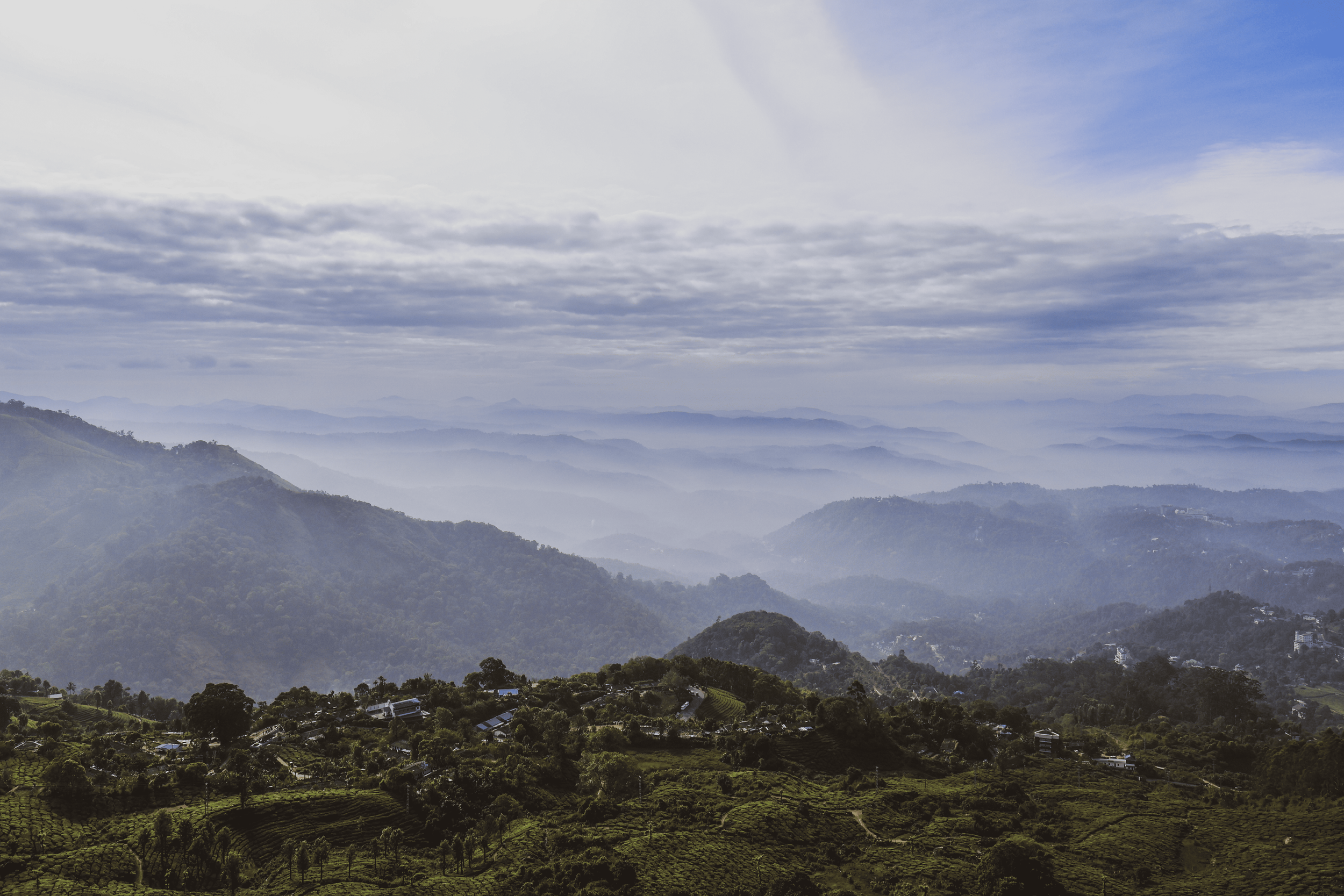 250207_India Pics_4.png