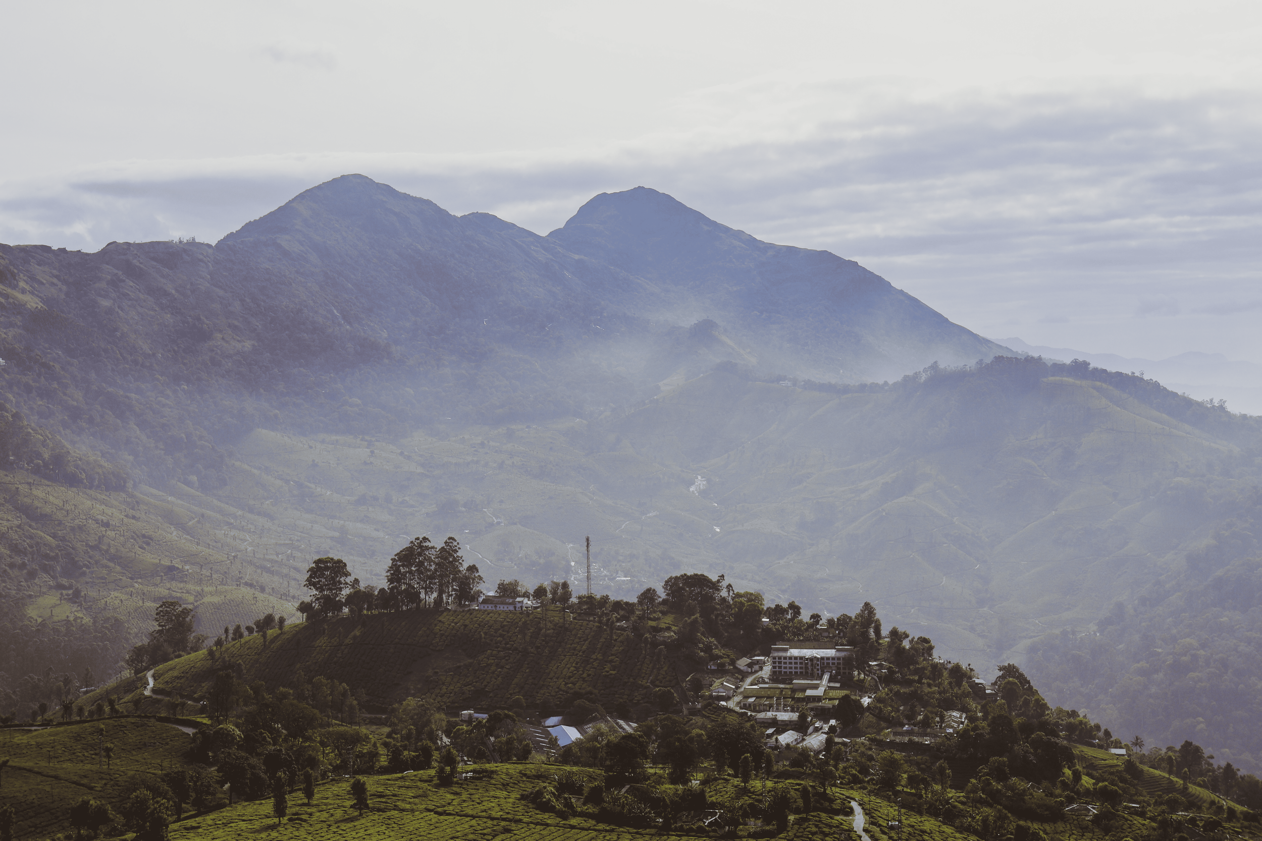 250207_India Pics_5.png