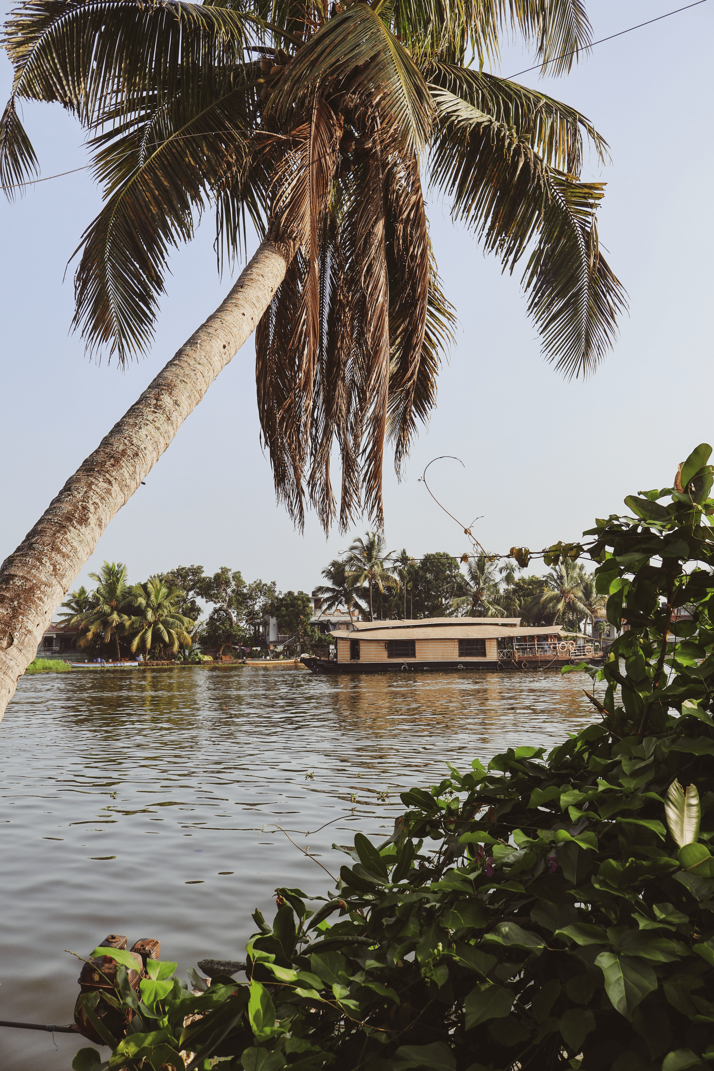 250207_India Pics_12.png