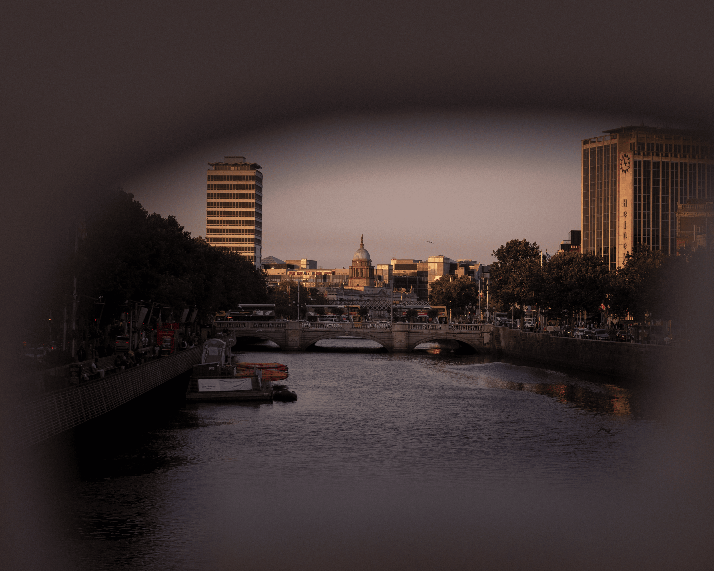 IMG_6733.png