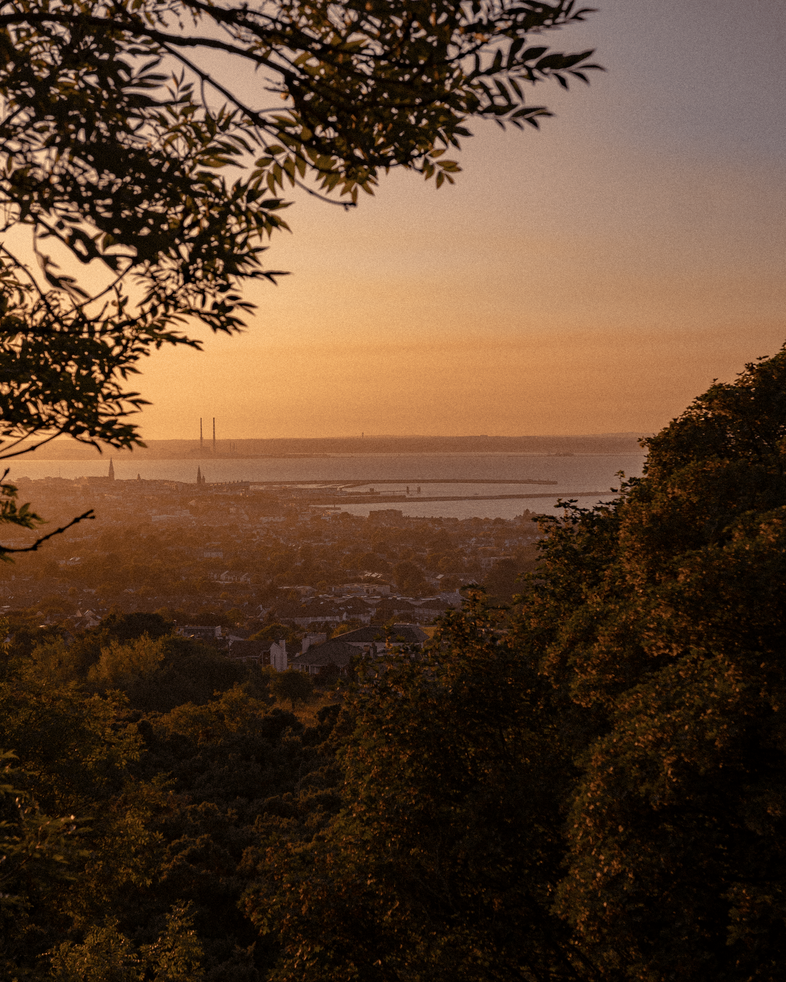 IMG_6947-2.png