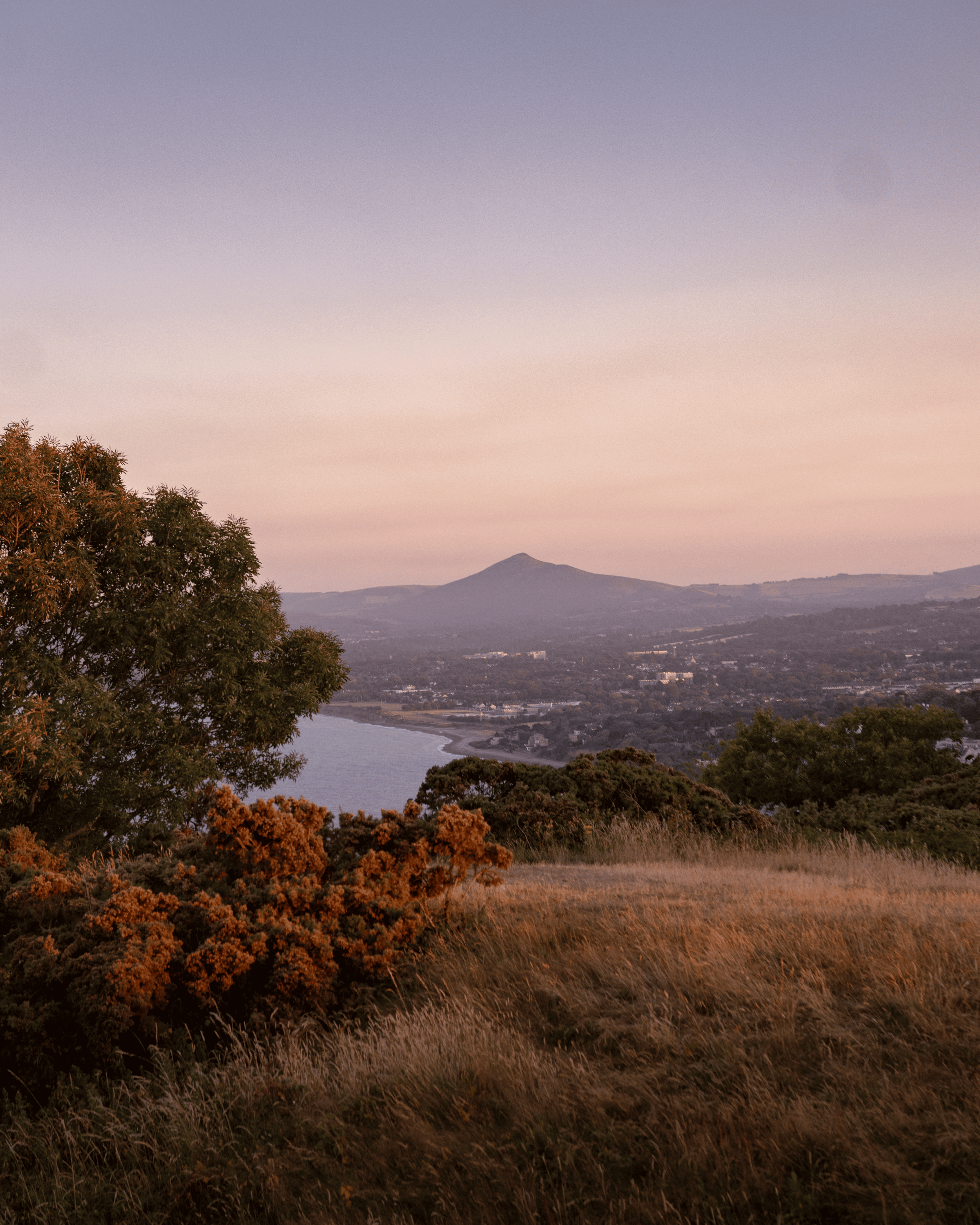 IMG_6996.png