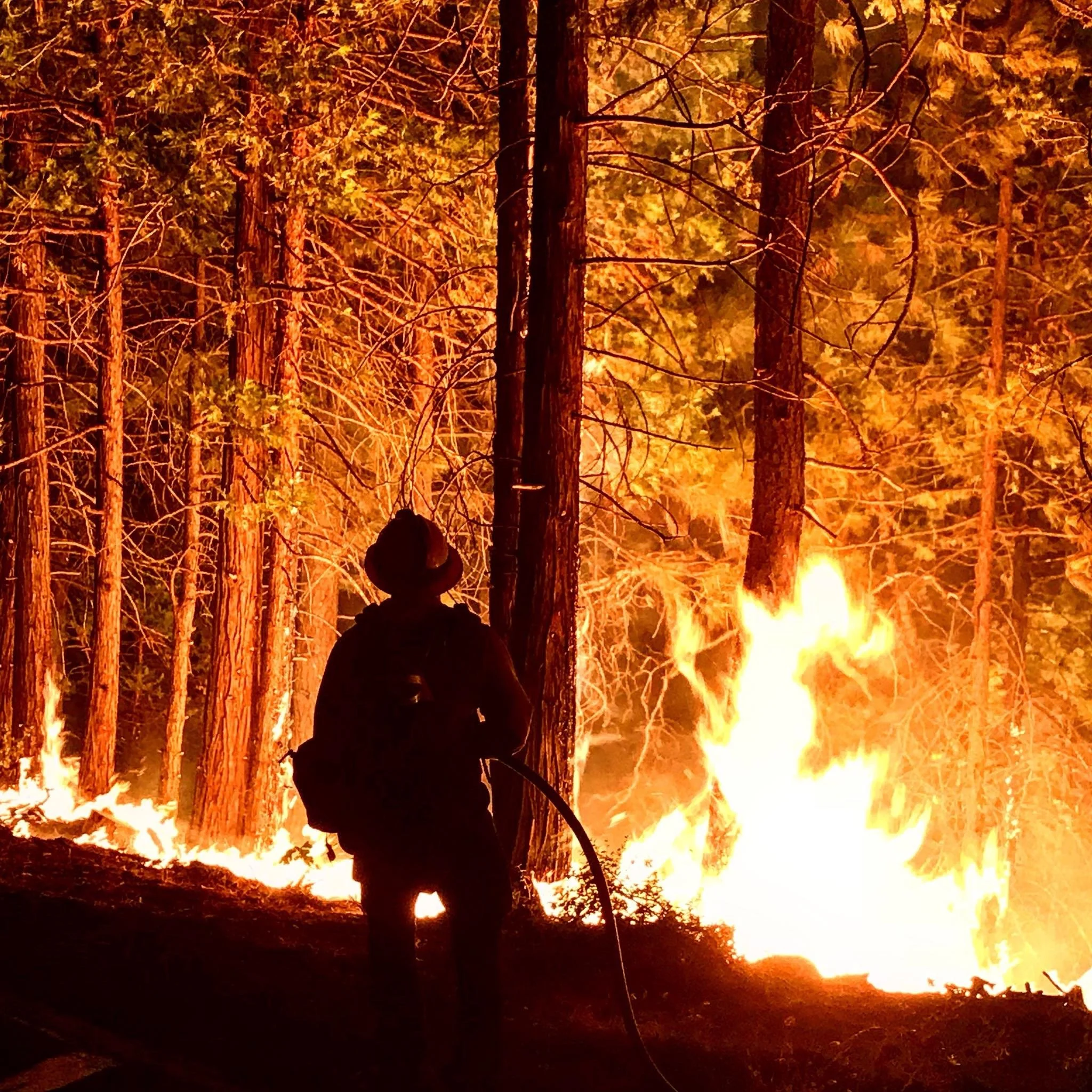 Wildland Firefighter in front of an active wildfire.