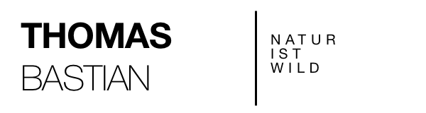Dein Website-Titel