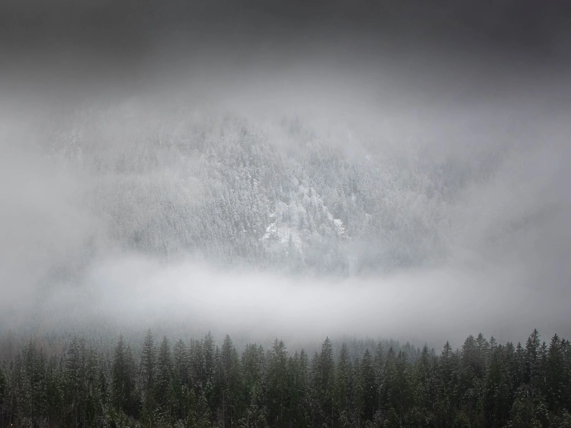 Hintersee_Forrest1.jpeg