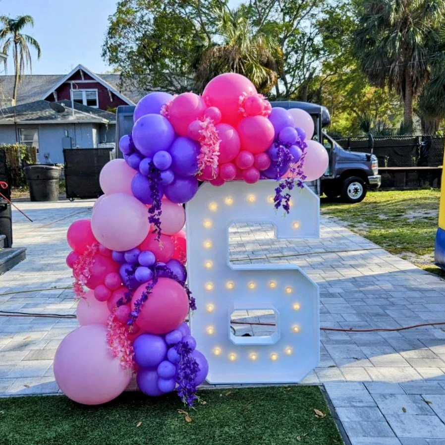 6TH BIRTHDAY WITH NUMBER 6 NUMBER DECOR