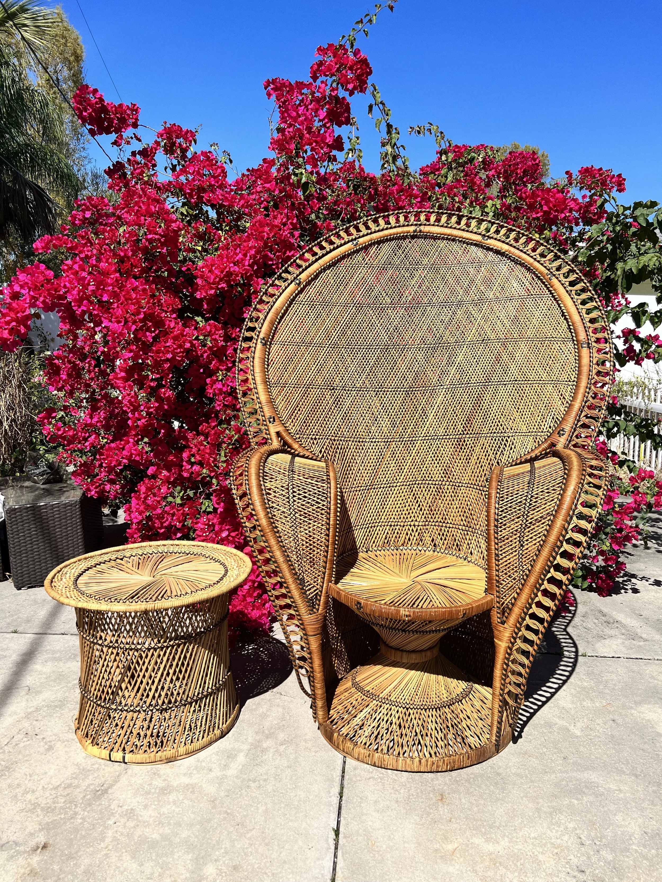 COBRA PEACOCK CHAIR RENTAL AVAILABLE - $90