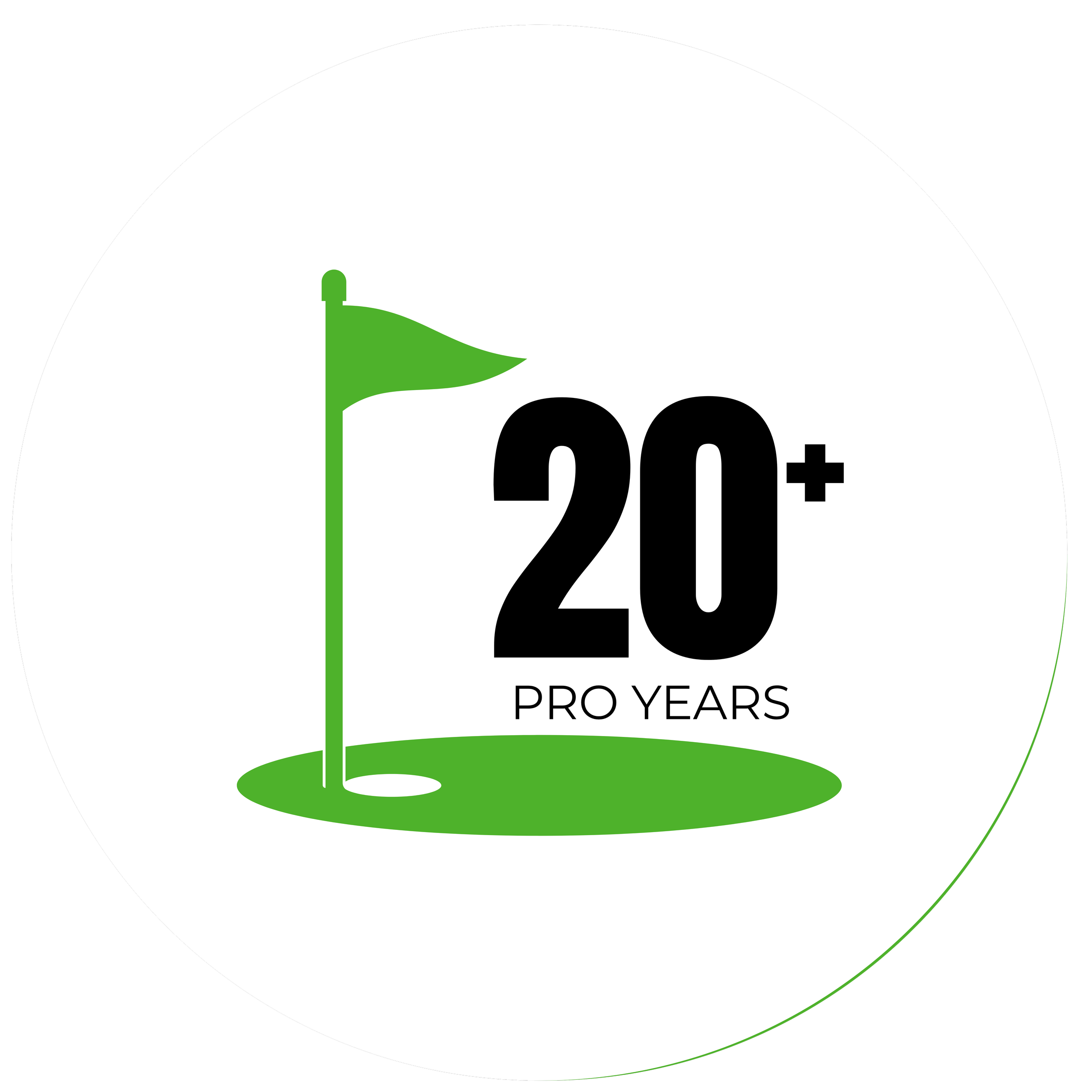 Logo featuring a white football with a green outline and a green flag on a stick, alongside black text that says '20+' and smaller text that says 'PRO YEARS' against a black background.