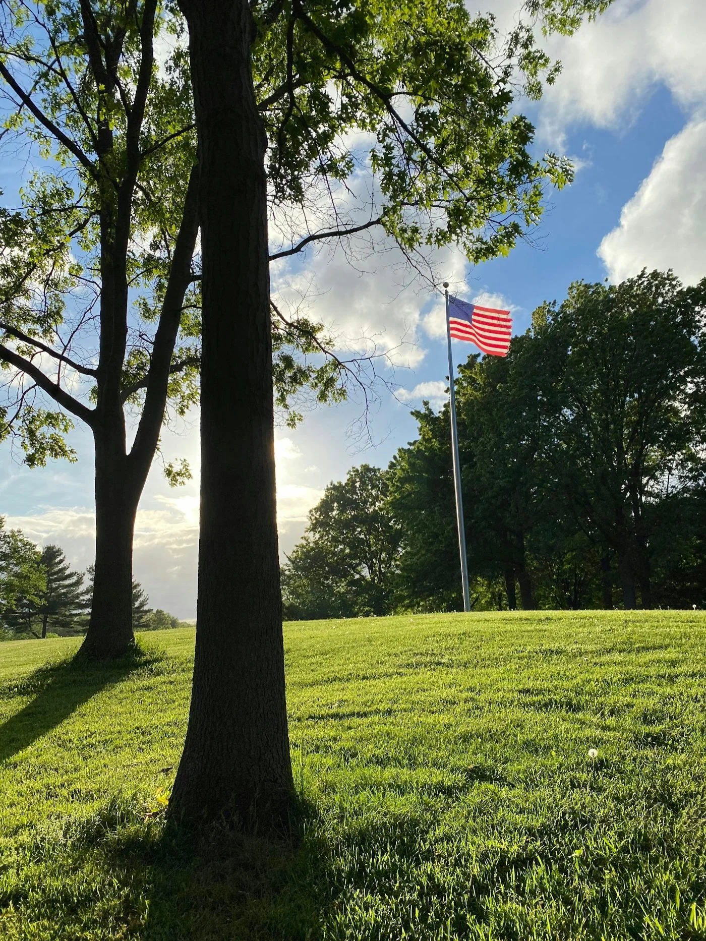 Wishing our friends and neighbors a Happy Fourth of July 🇺🇸
#StreamsideFarms