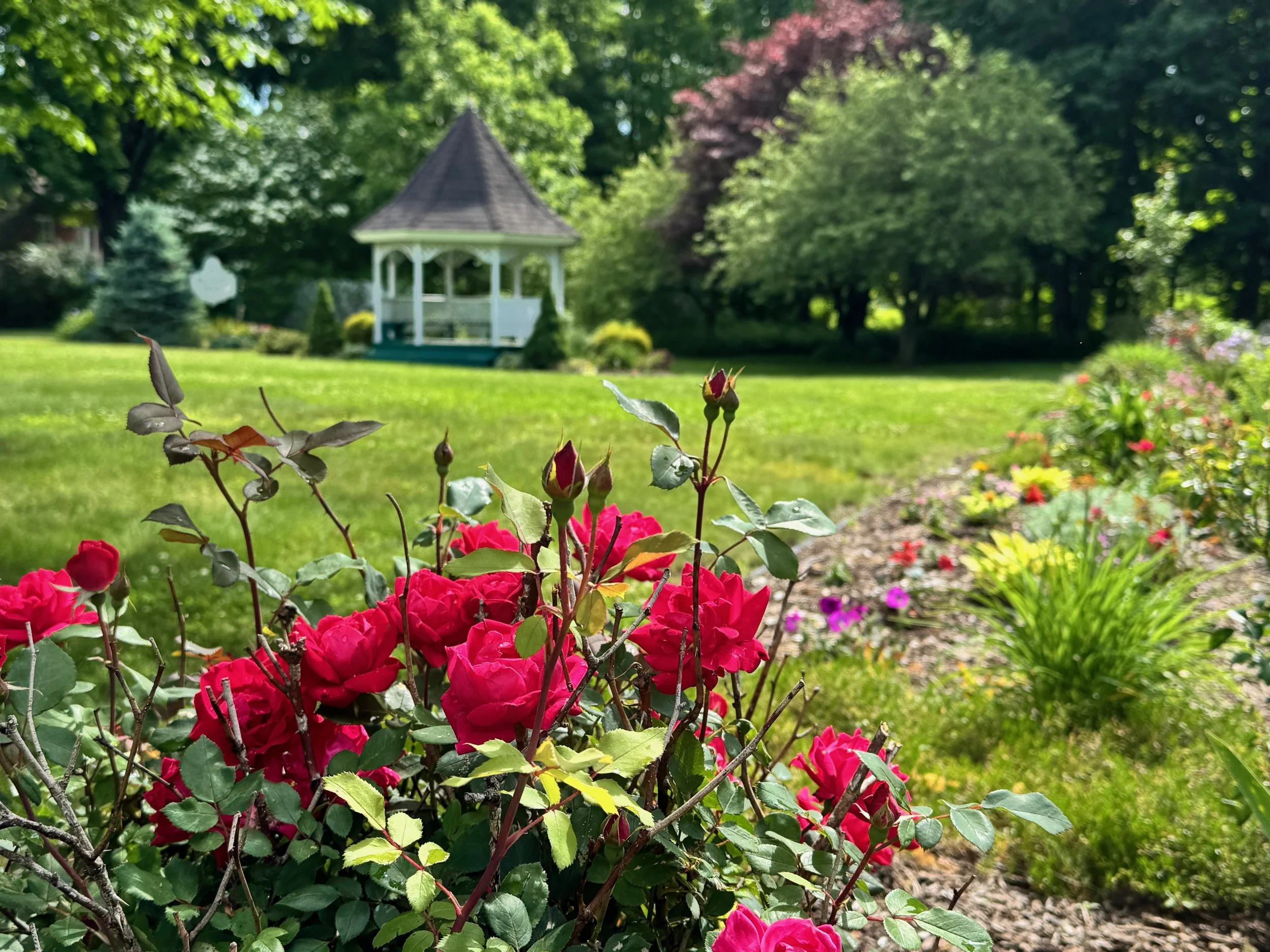 gazebo park.jpeg