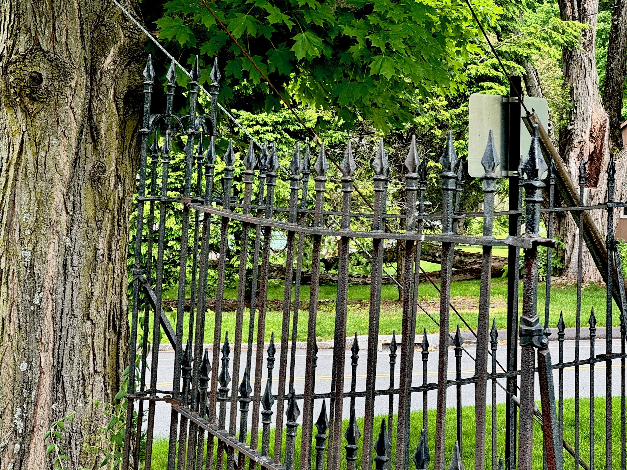 ironfenceblack.jpeg