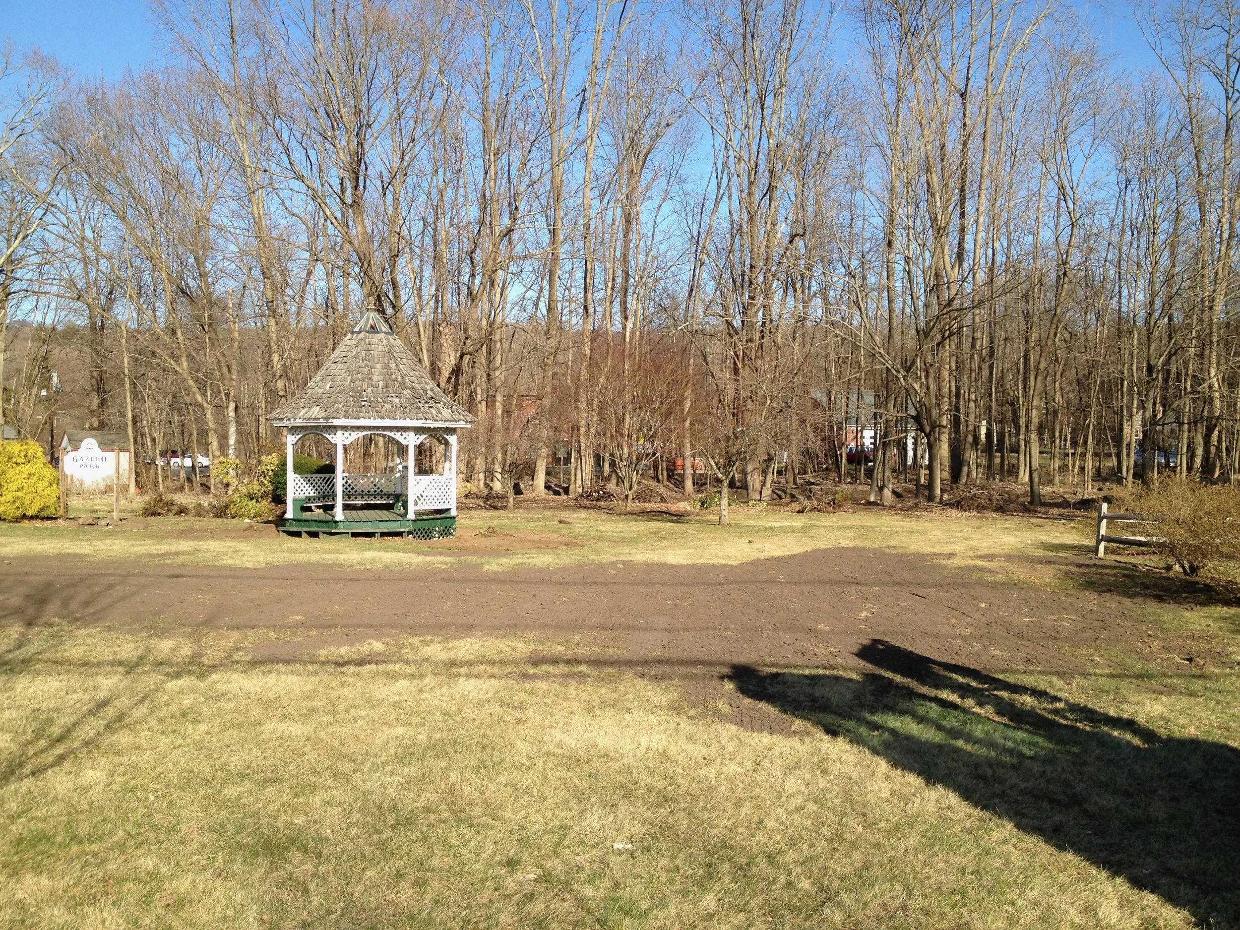 April 8, 2013 - Not much to look at, yet..  Diana had her vision though...