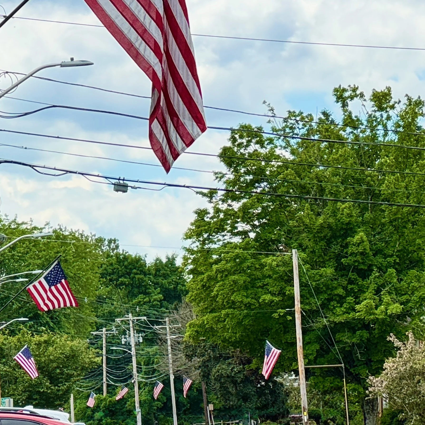 MoreFlags.jpeg
