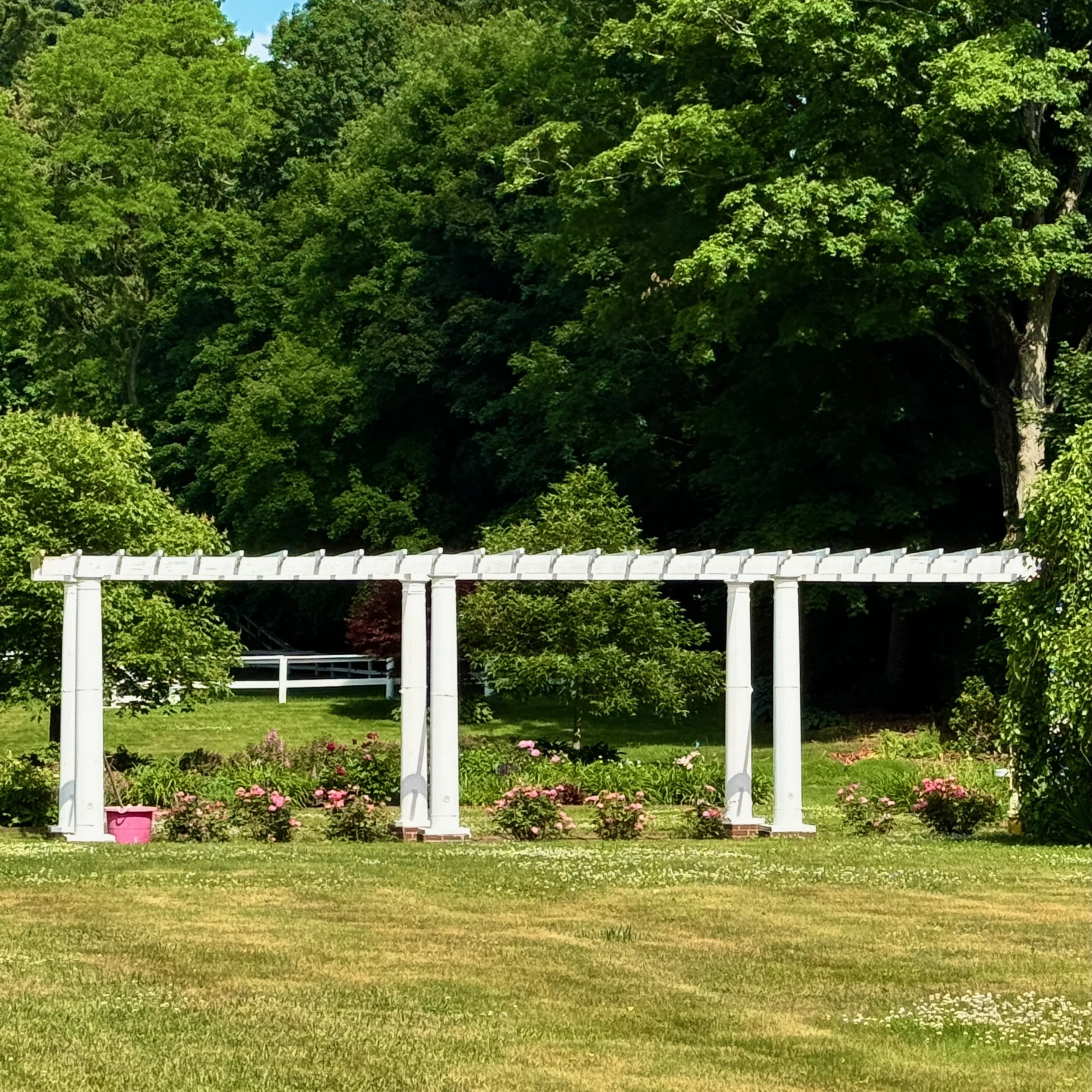 Liz Pergola.jpeg