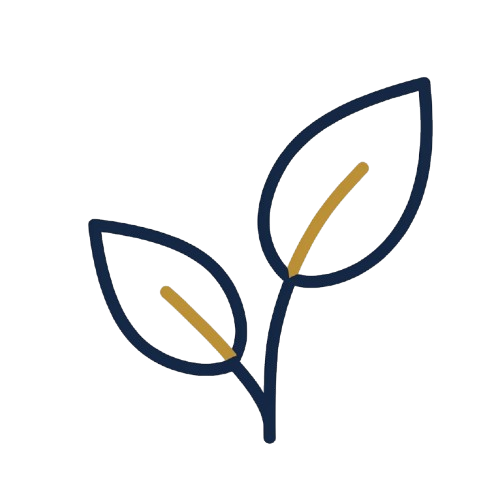 Simple illustration of a plant with two green leaves, outlined in dark blue.