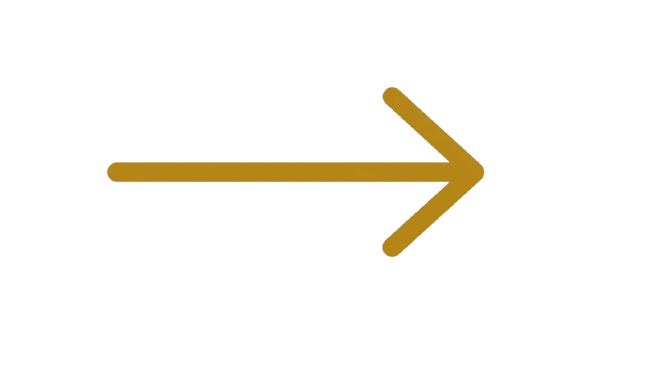 Black text with gold arrow pointing right, reading 'Next'