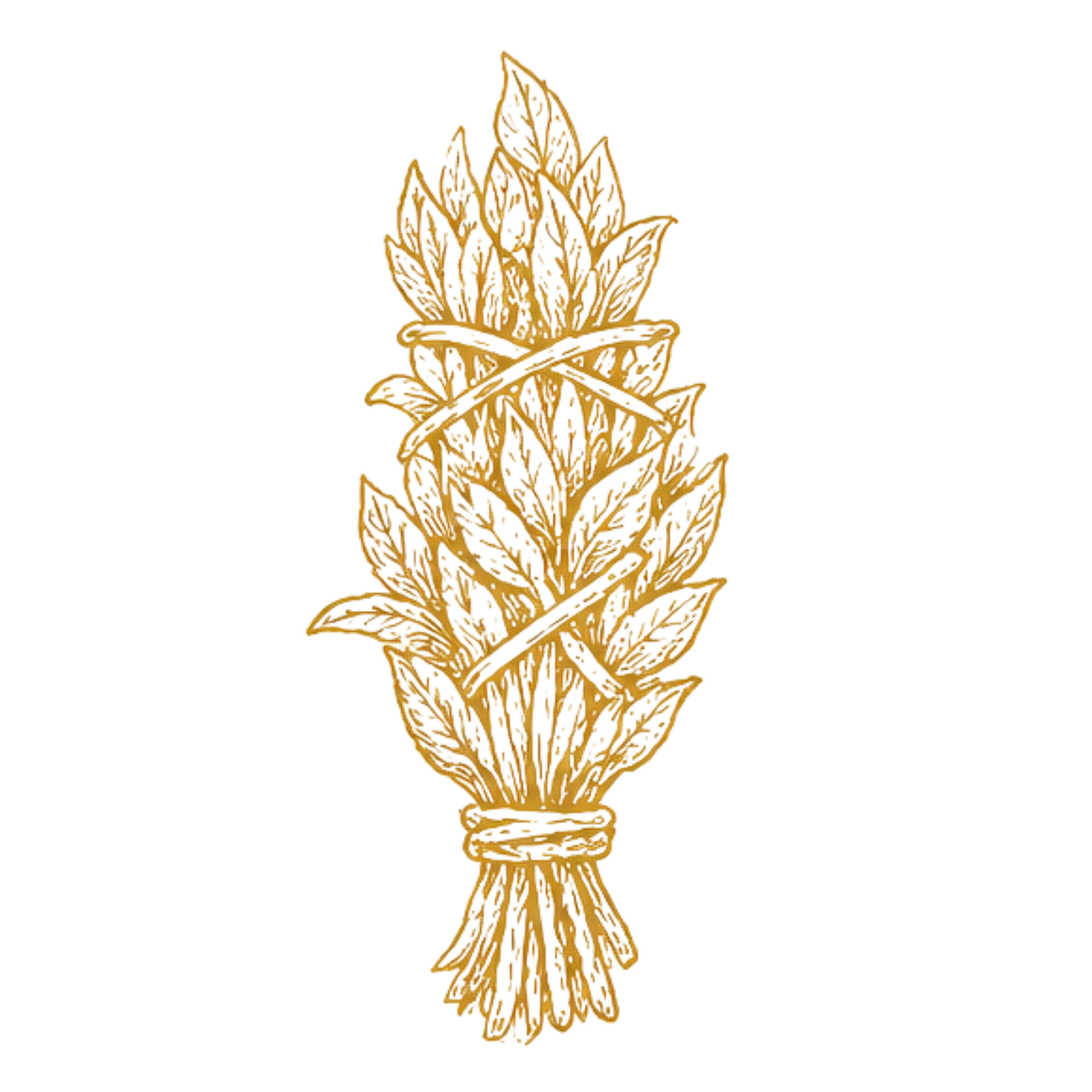 Golden outline of a sage bundle