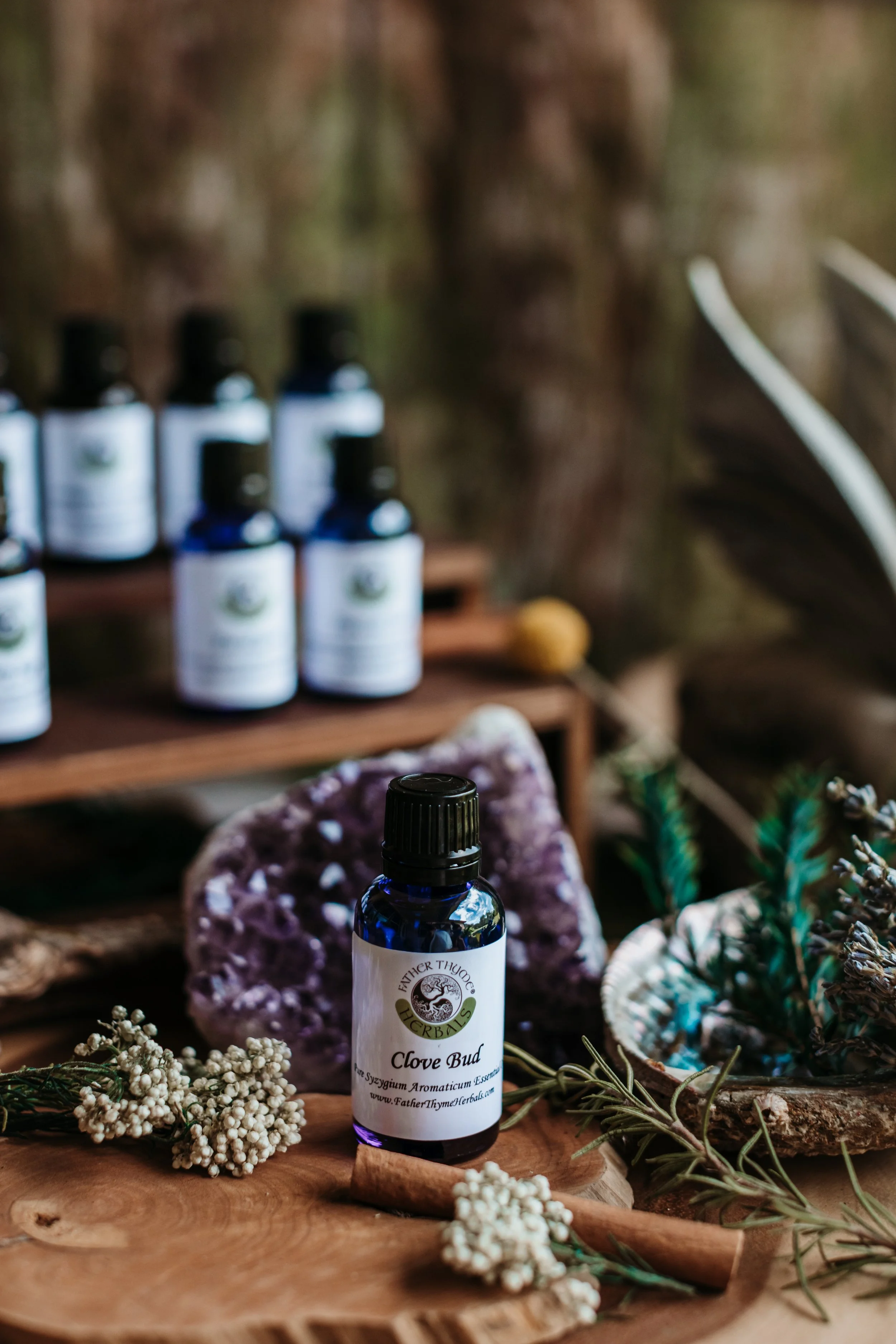 Clove Bud Pure Essential Oil