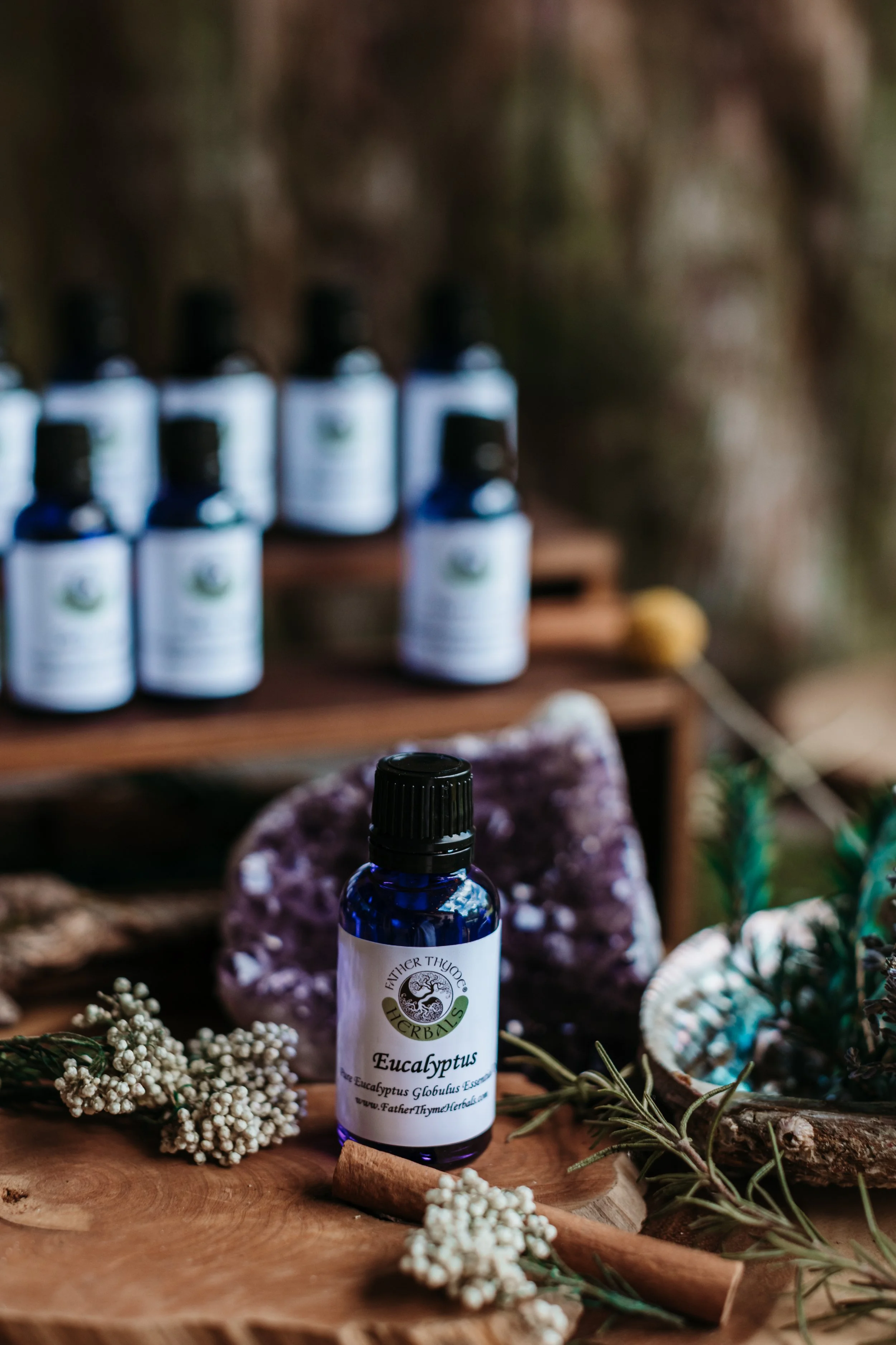 Eucalyptus Pure Essential Oil