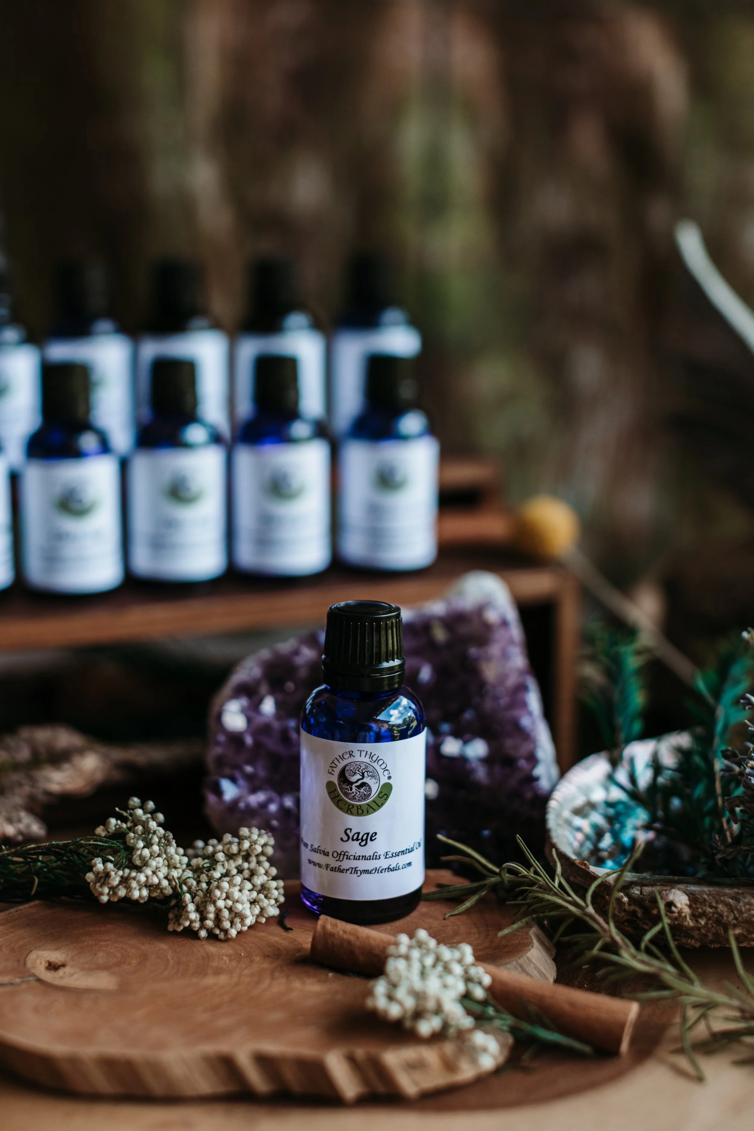 Purifying Sage Salvia Officinalis Essential Oil