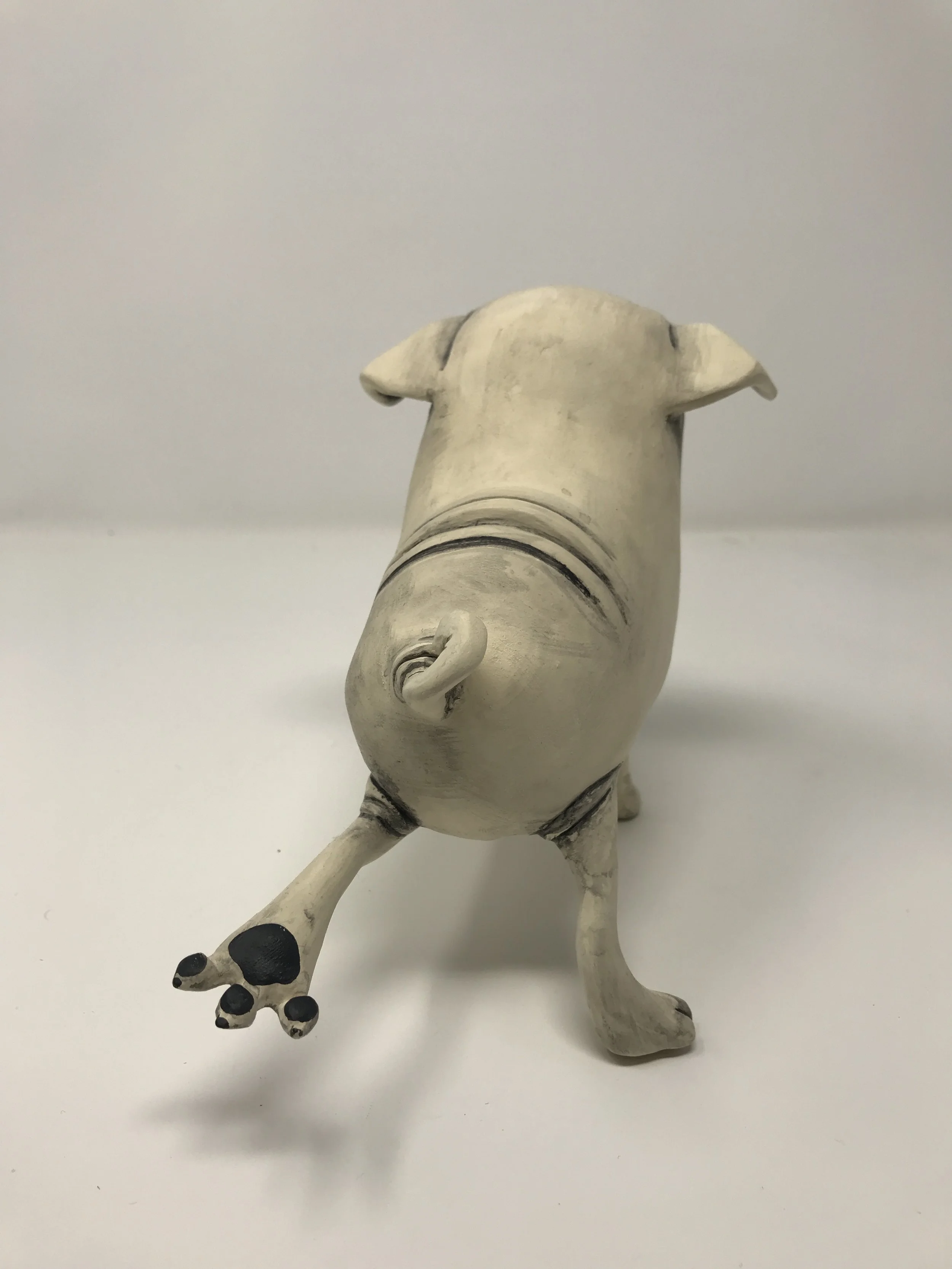 Pug
2019
