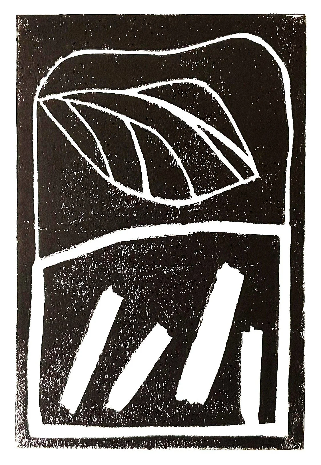 plant.jpg