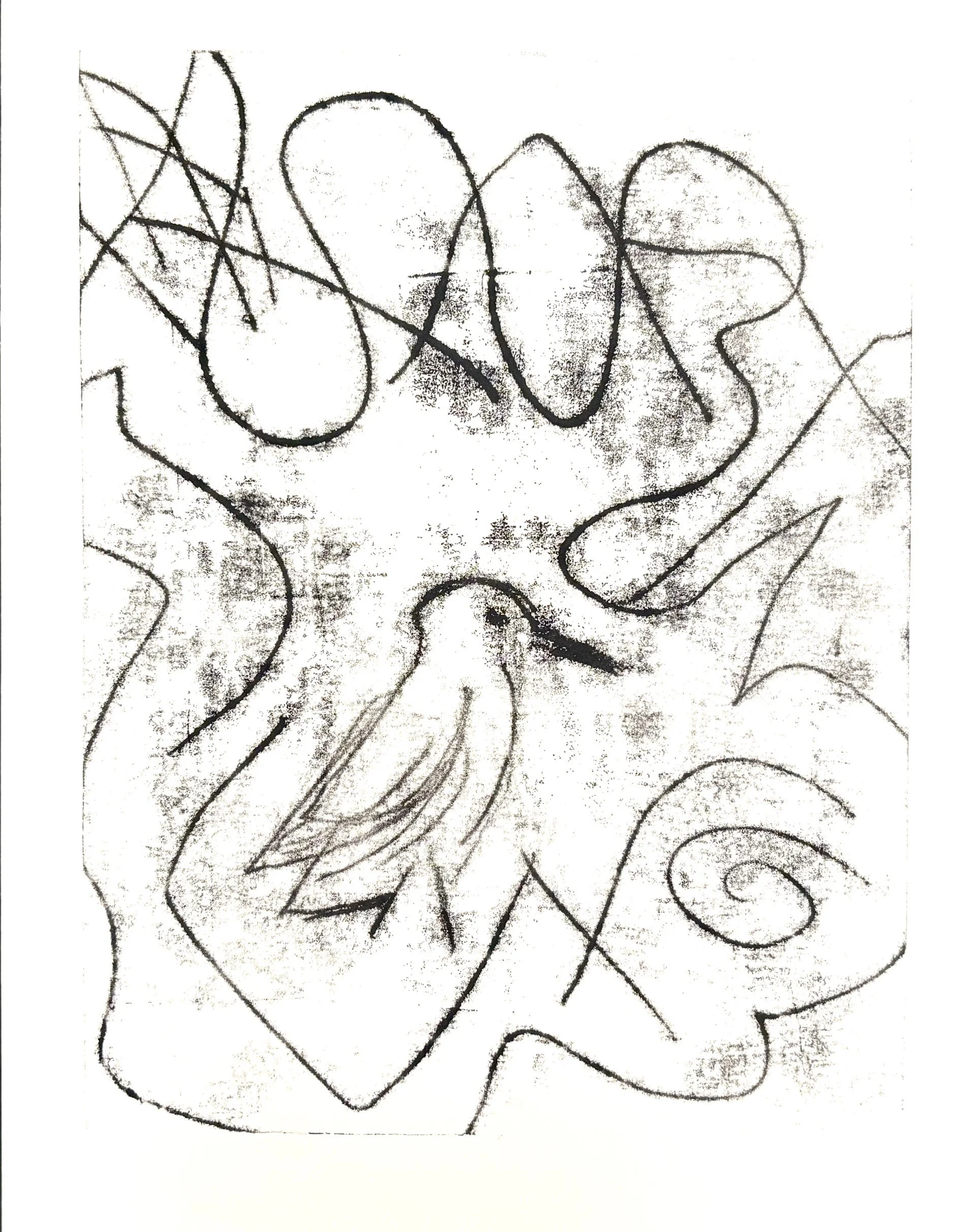 Monotype ijsvogel
