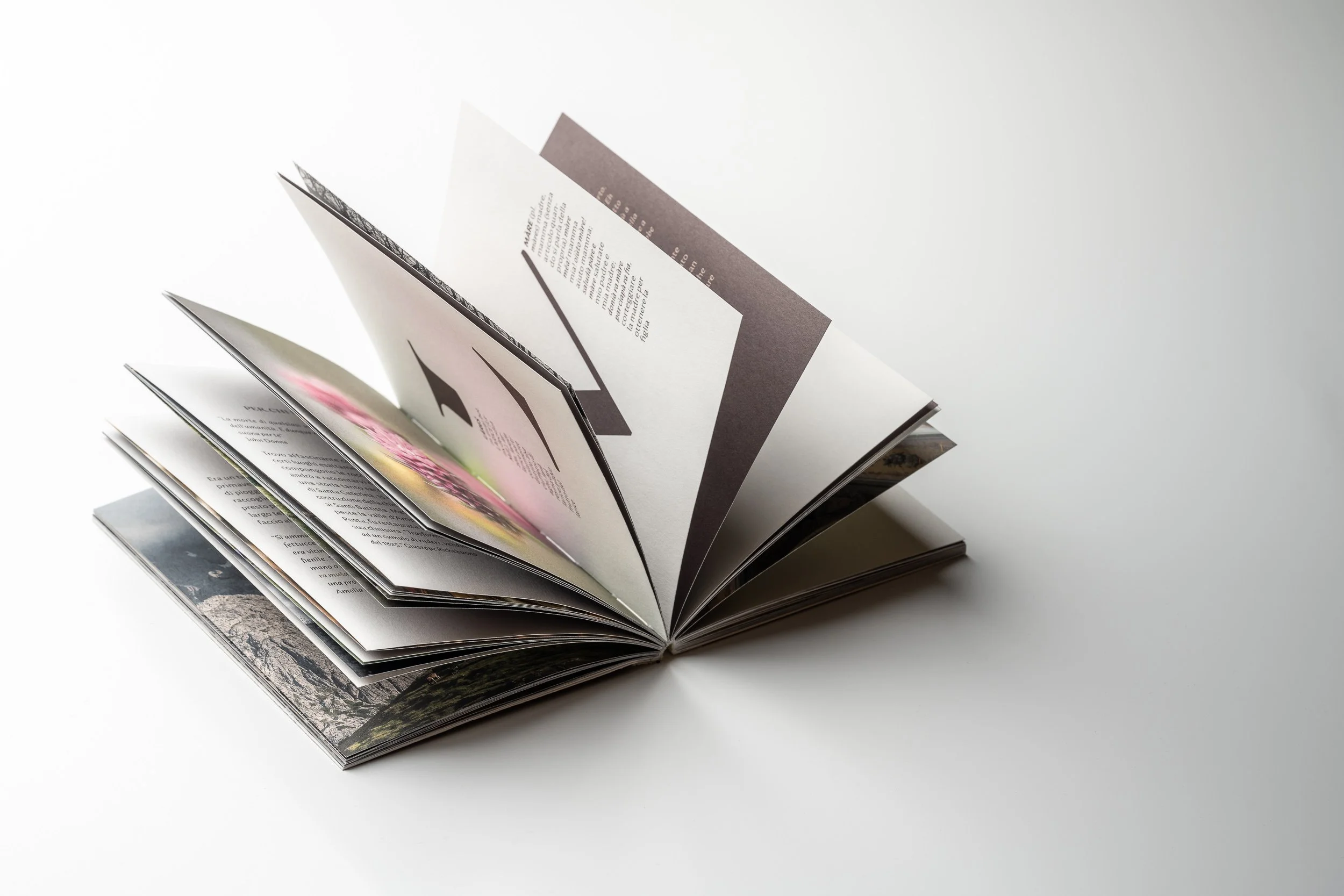 Libro aperto con pagine piegate in modo artistico, su sfondo bianco.