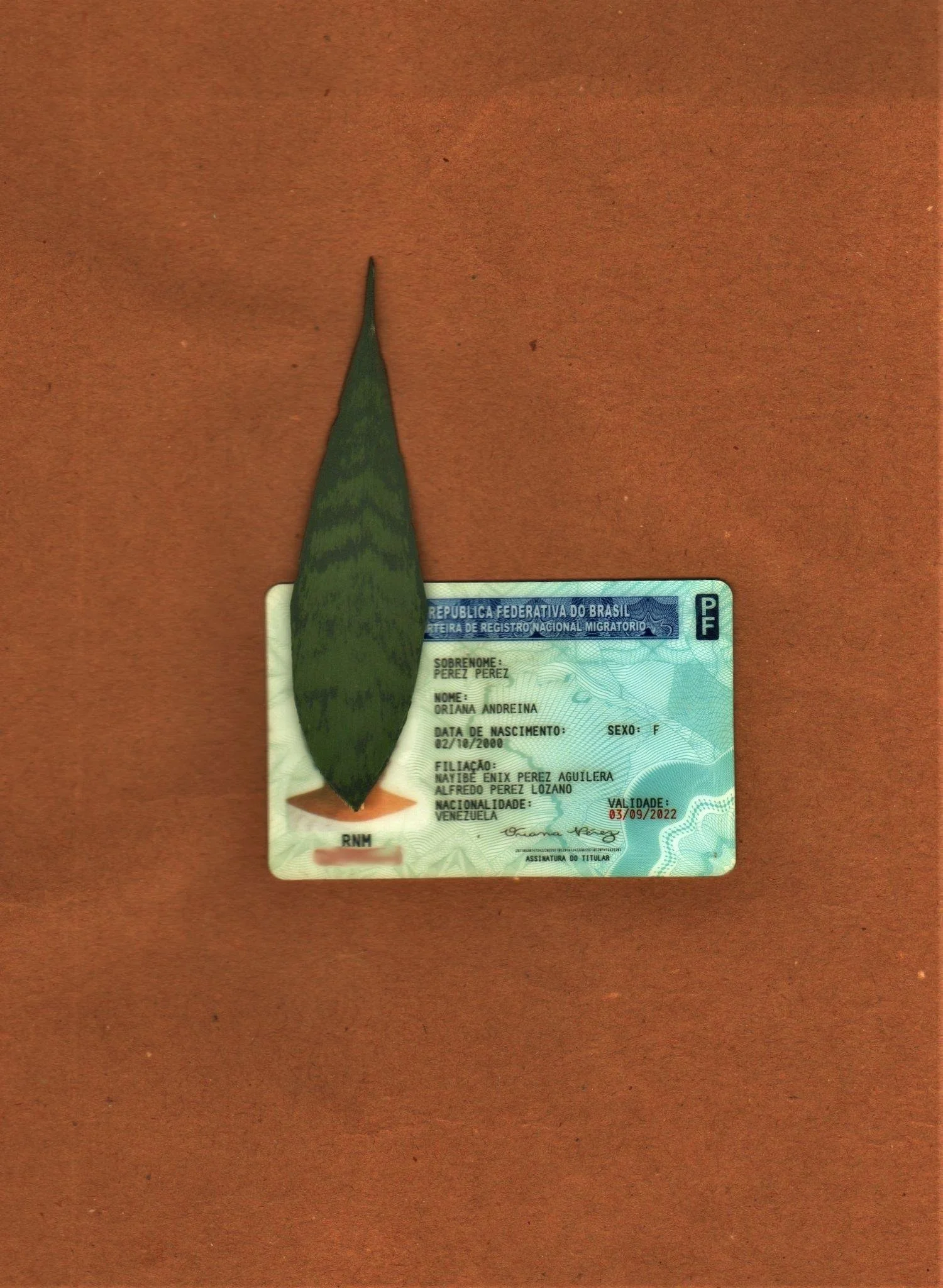 La cura para el inmigrante es encontrar nuevos códigos II (2022). fotografía e colagem manual, 21 x 29,7 cm.