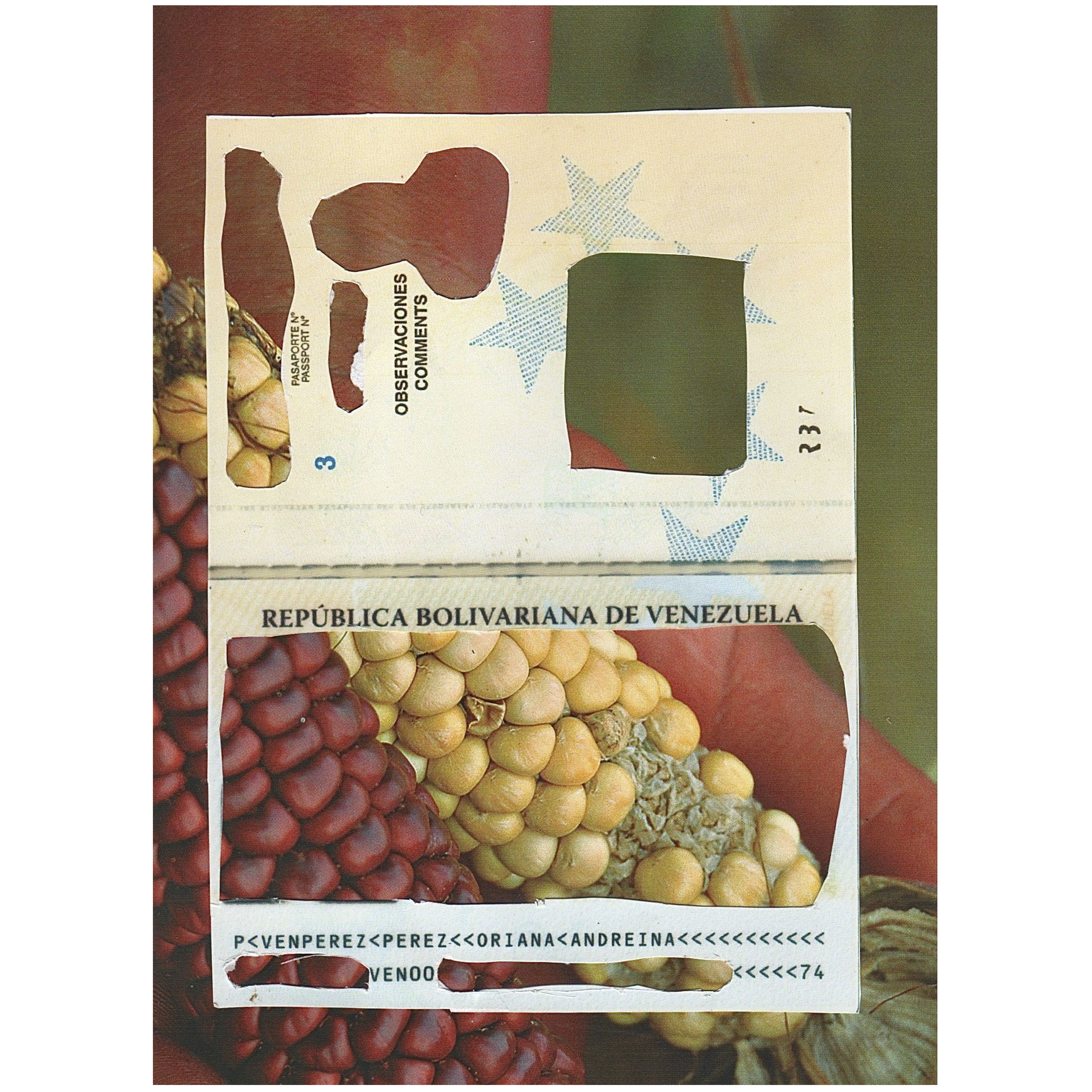 Nuestra Identidad Tiene Raíces (2023). Fotografía e colagem manual, 21 x 29,7 cm.