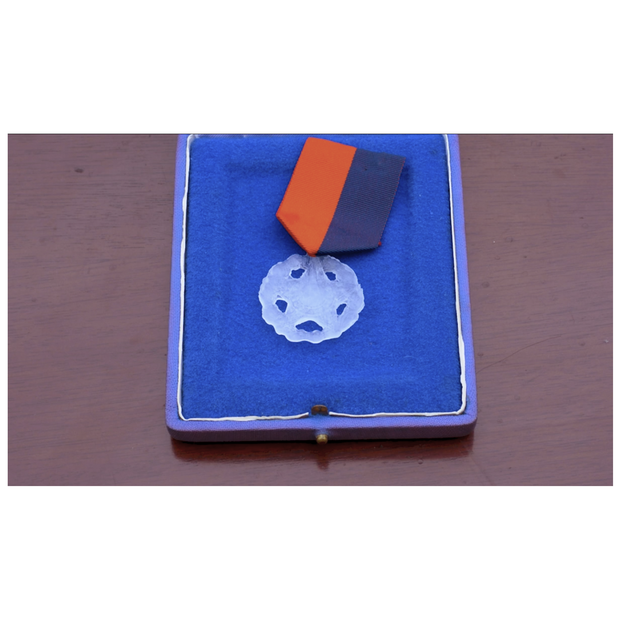 O Herói (2023). Vídeo, 26' 20''. Gelo, estojos de medalha e suas fitas, aproximadamente 180 x 350 cm cada unidade. 