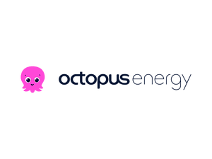 Octopus Energy Stromtarif homesun solar NRW