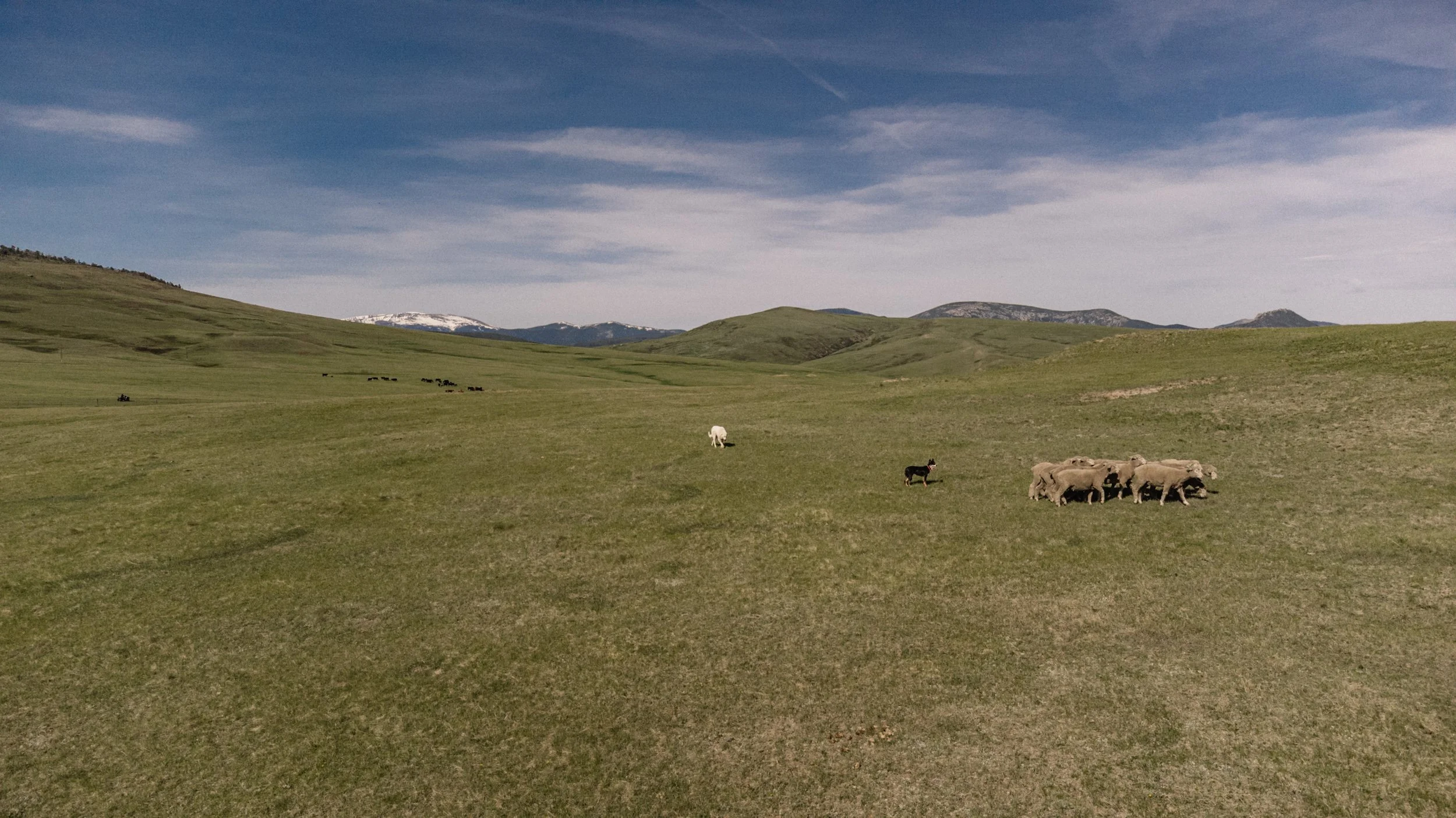 DJI_0044.jpg