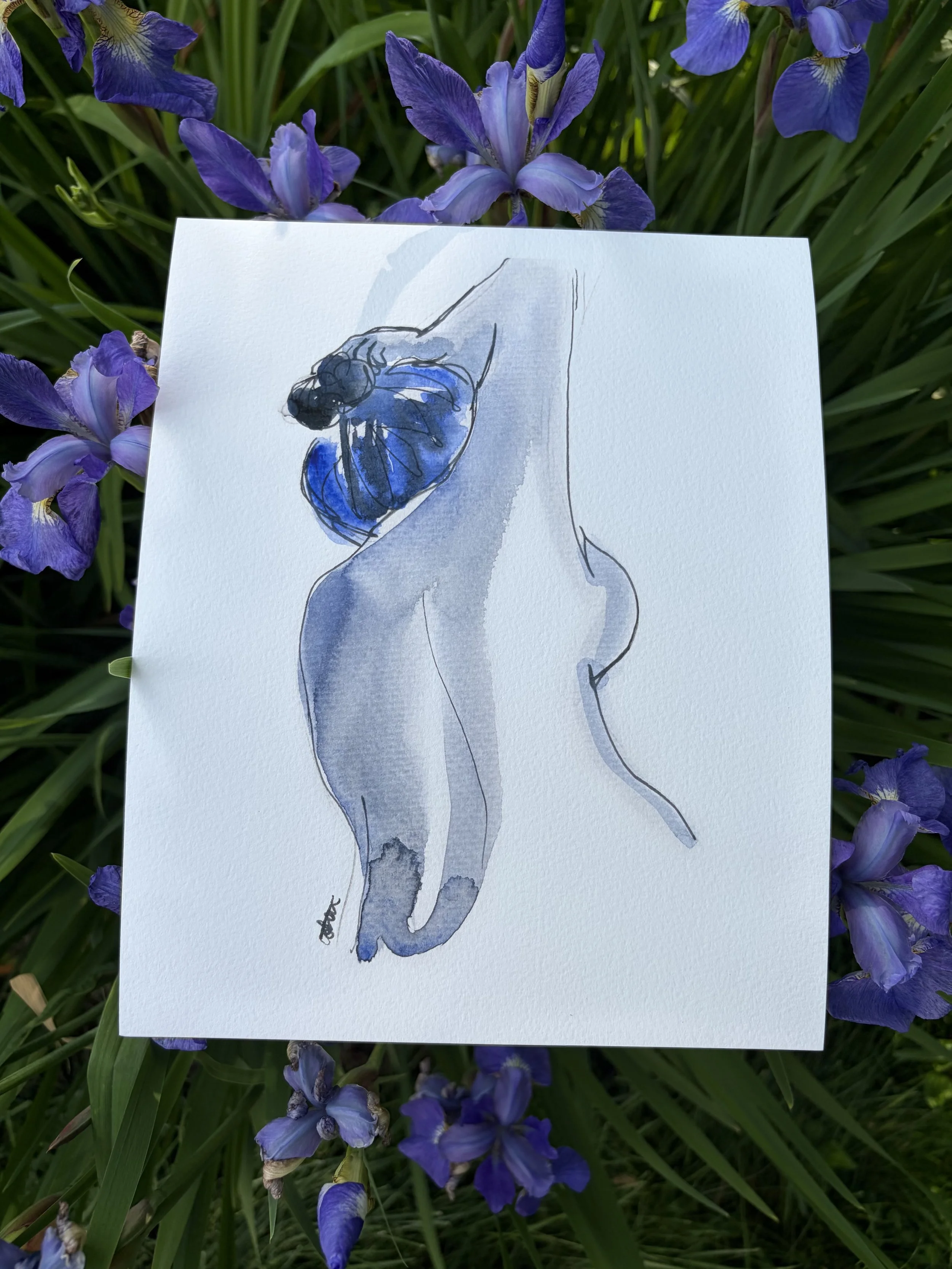 Lady in Blue Print 8X10