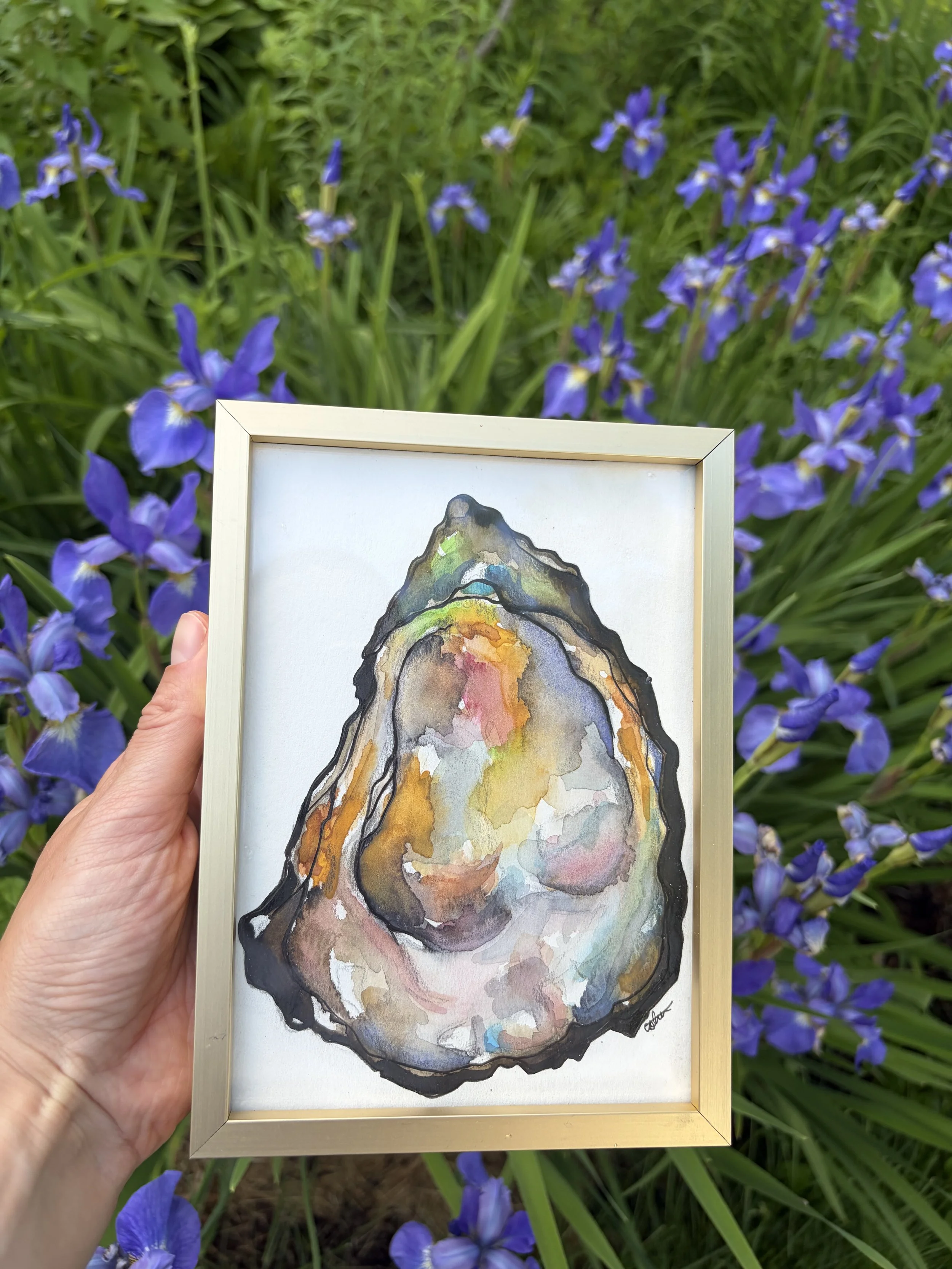 Oyster Shell Gold Framed 5X7 Original