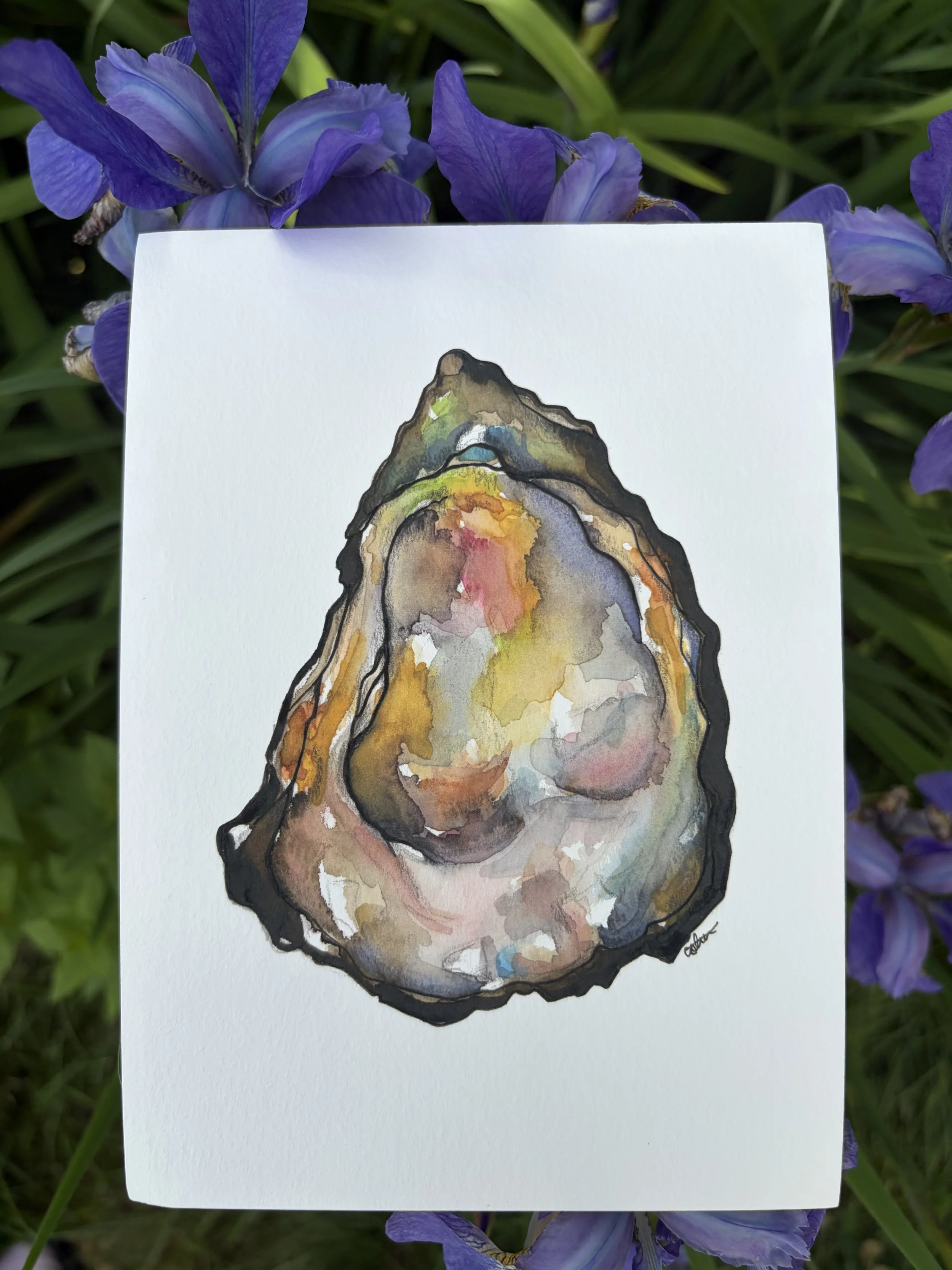 Oyster Print 5X7