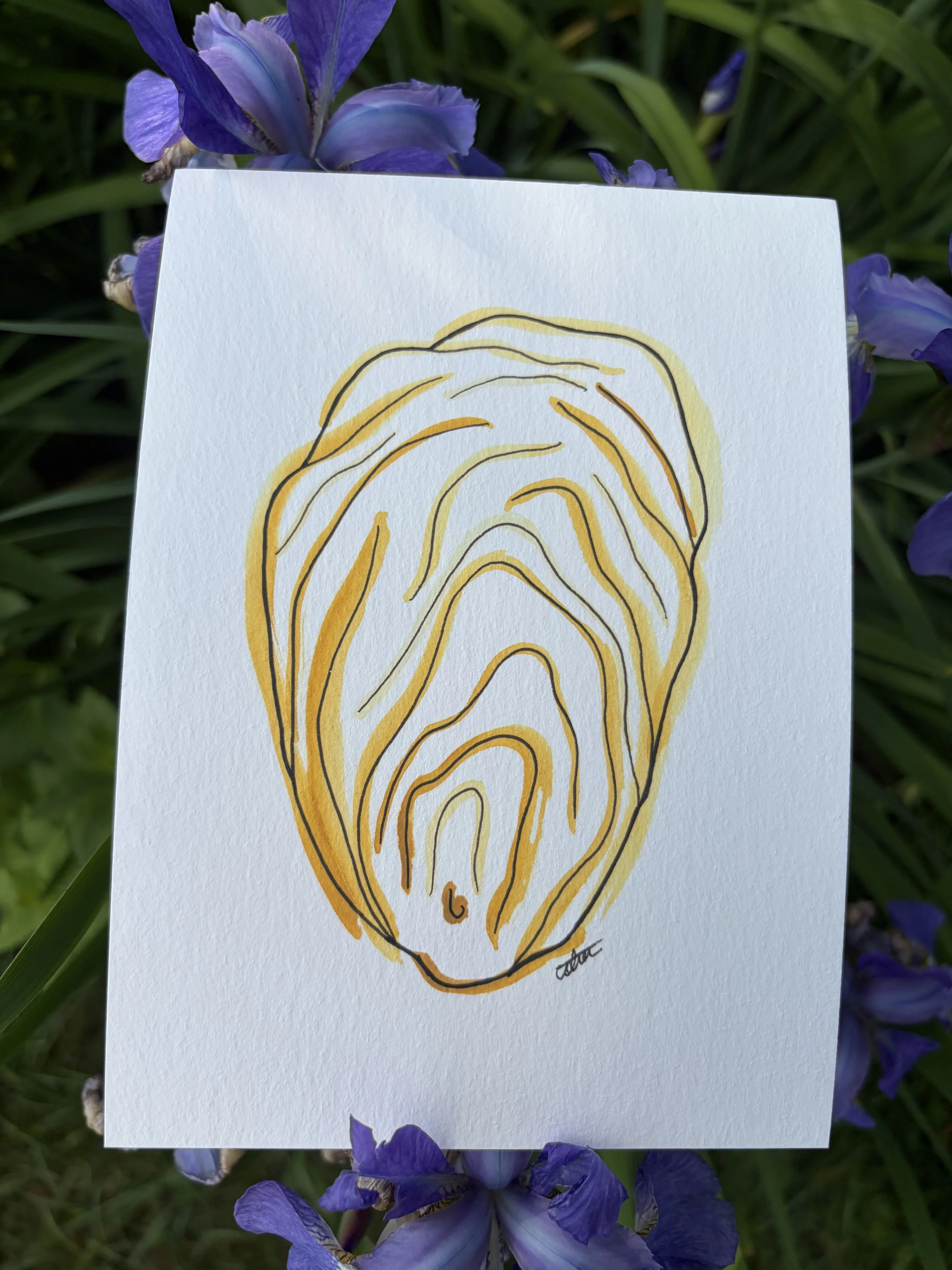 Yellow Oyster 5X7 Print