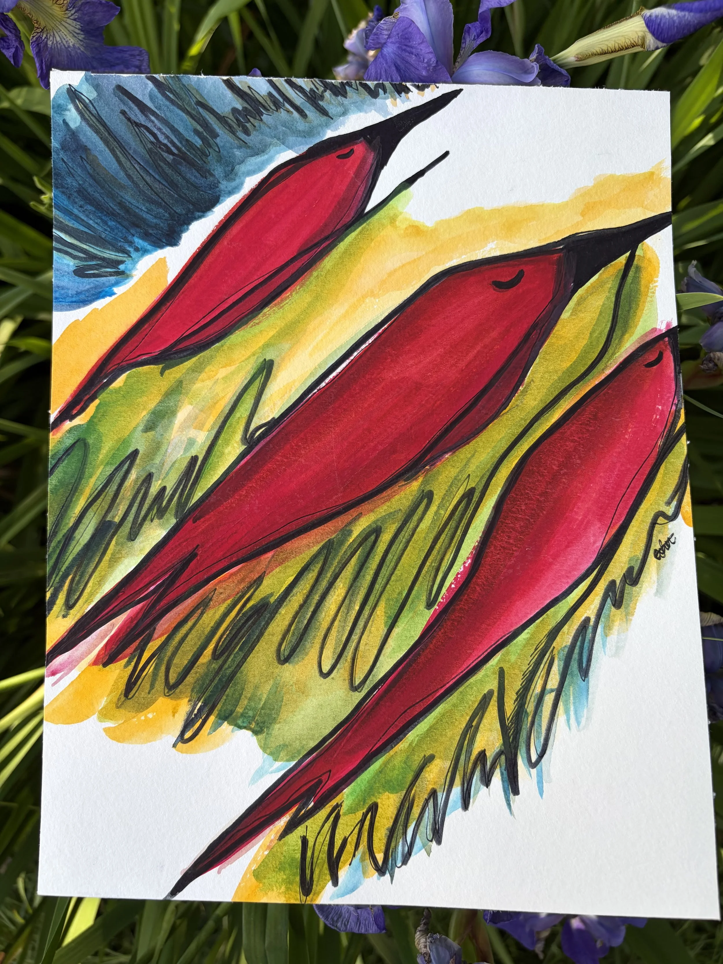 Birds of Paradise 8X10 Original