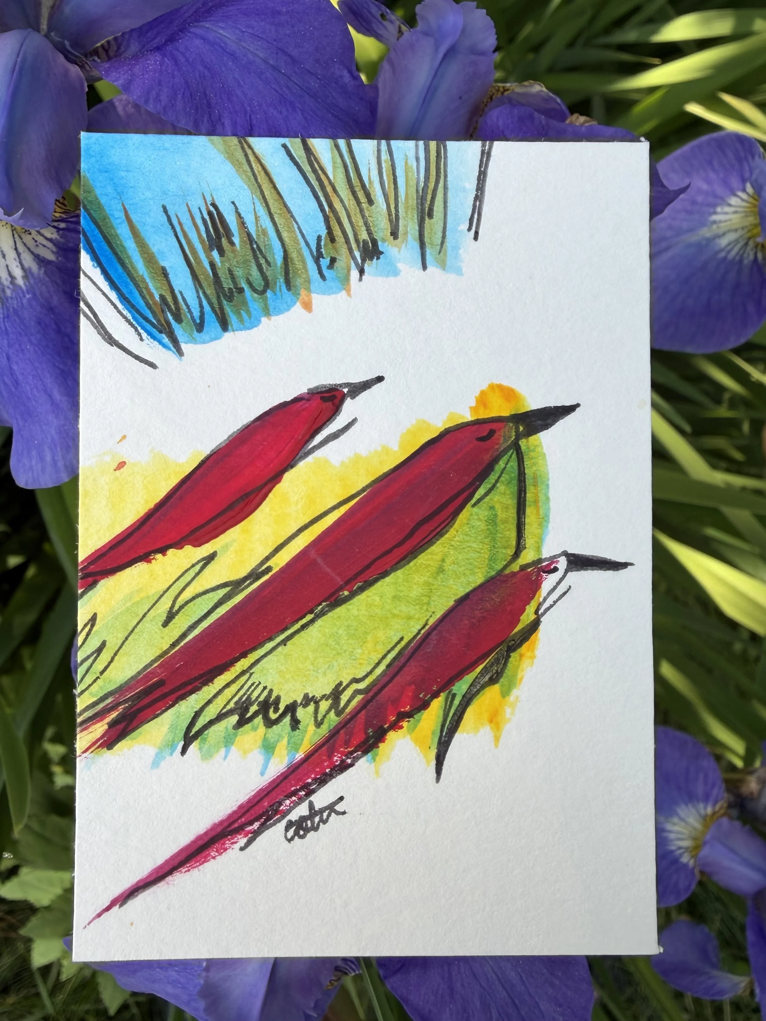 Birds of Paradise Mini 2.5X3.5 Original