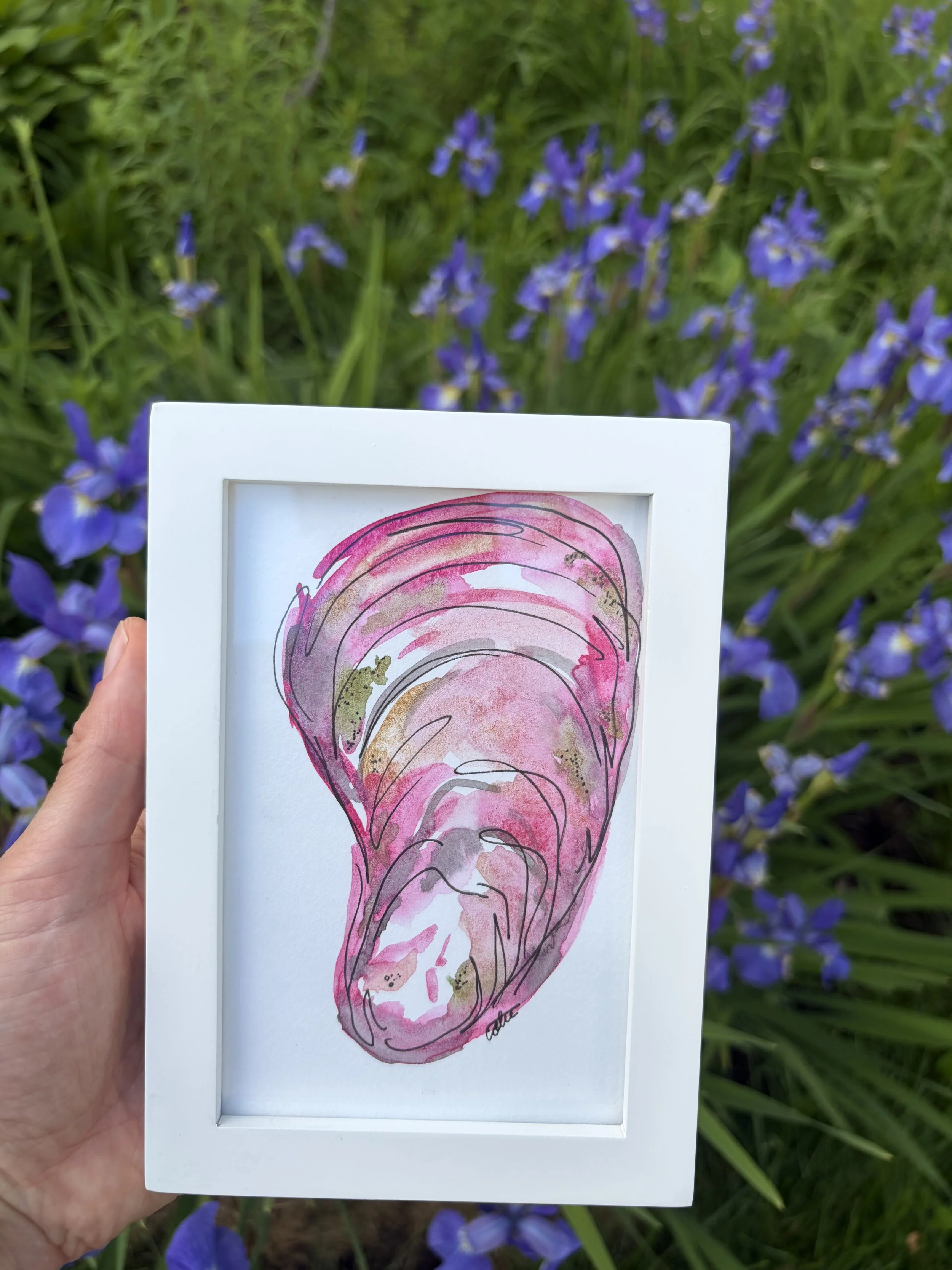 Pink Shell Framed 5X7 Original
