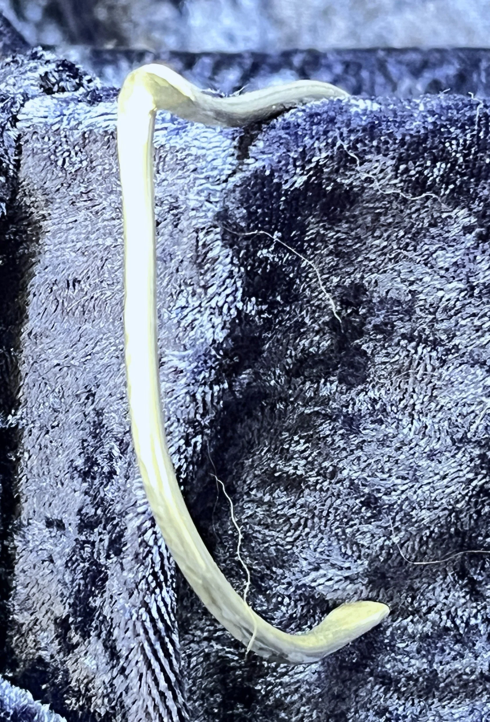 Sterling silver bracelet laying on a blue background.