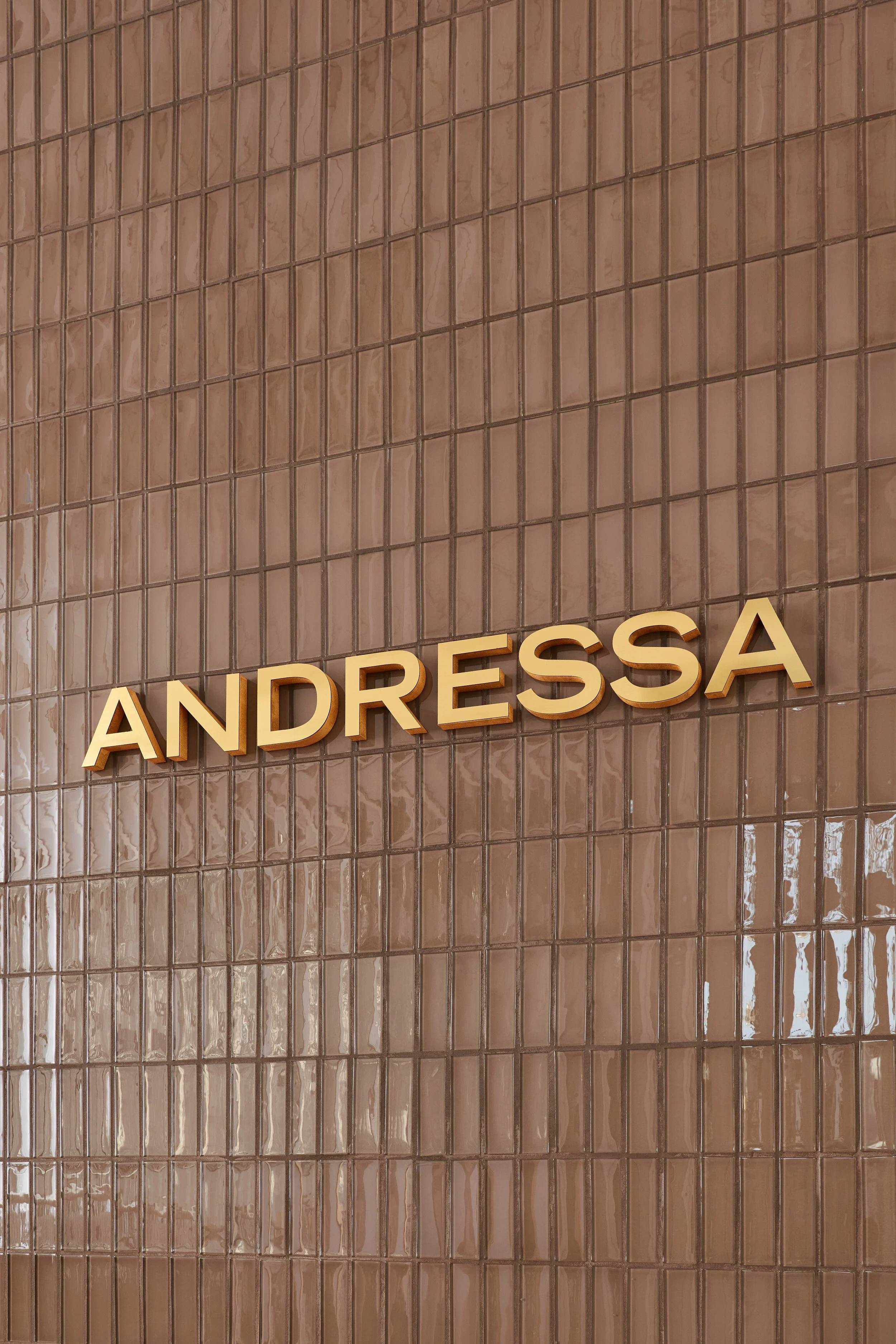 agustinamacarena-andressa-palermo-felixniikado-high- 11.jpg