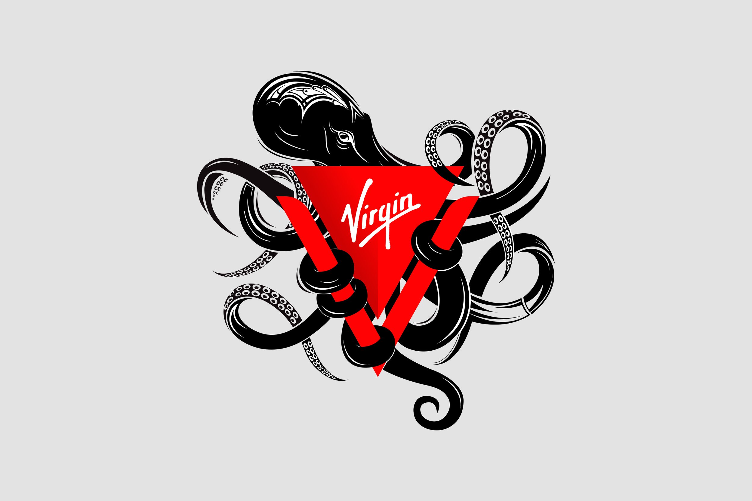virgin_octo_holding.jpg