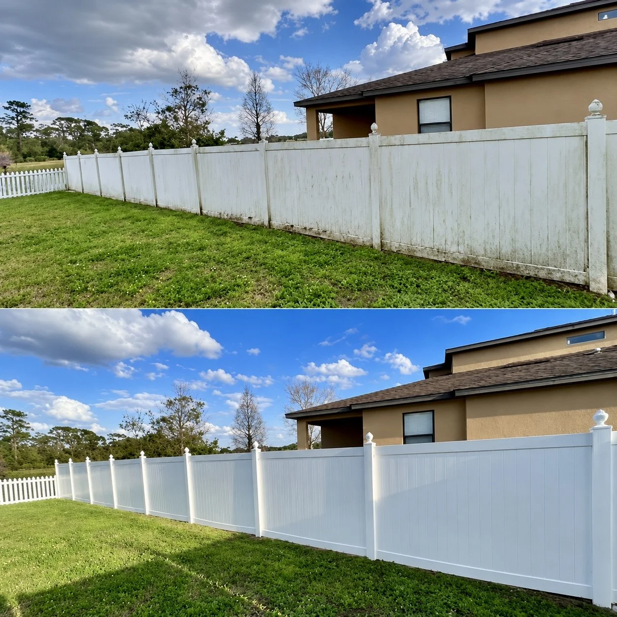 Fence Cleaning